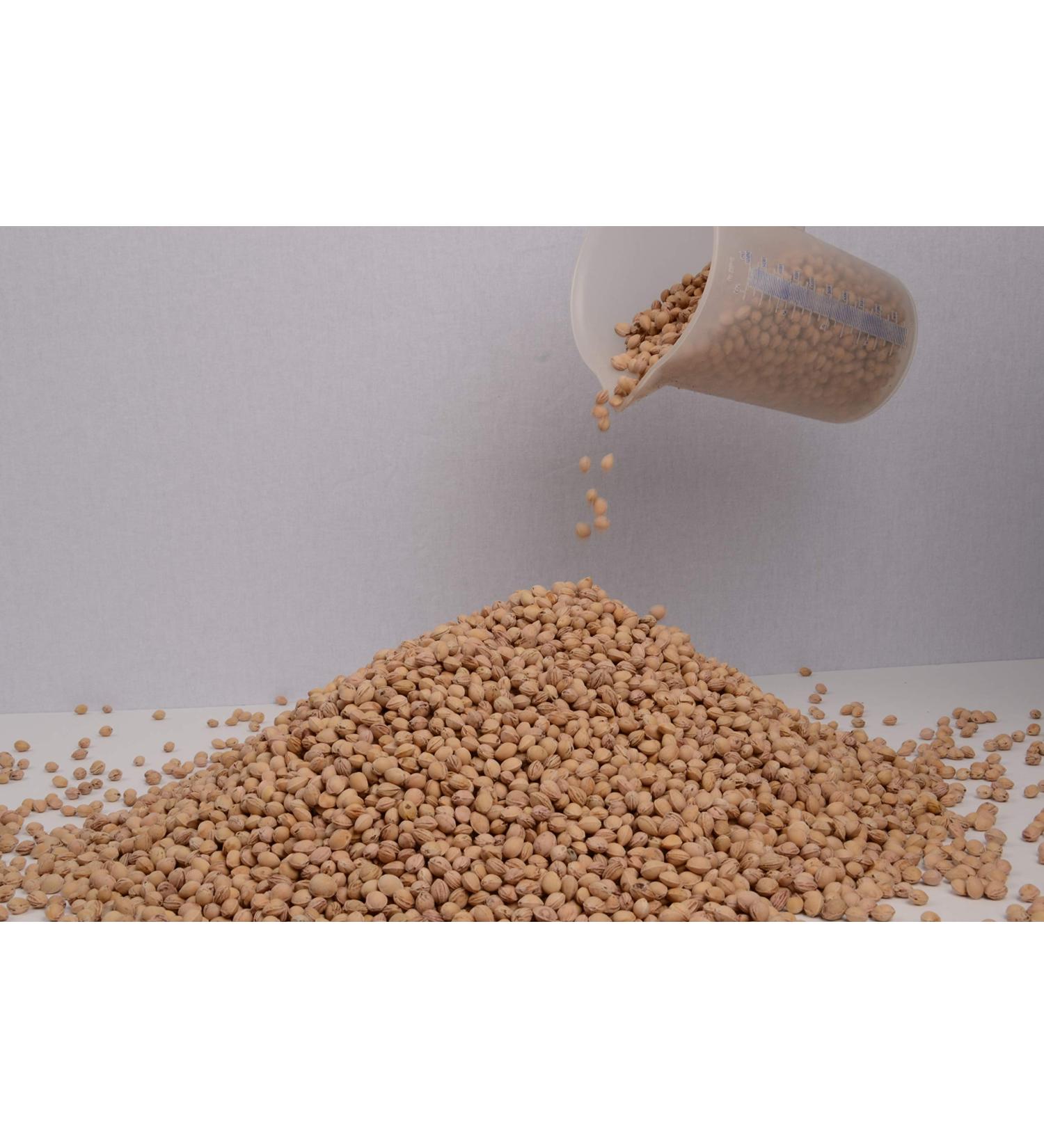 10kg Loose Cleaned Cherry Stones | Ideal for Heat Pads & Cuddly Toy Filling | Premium Quality Shipping Worldwide - Buy Online on GoSupps.com