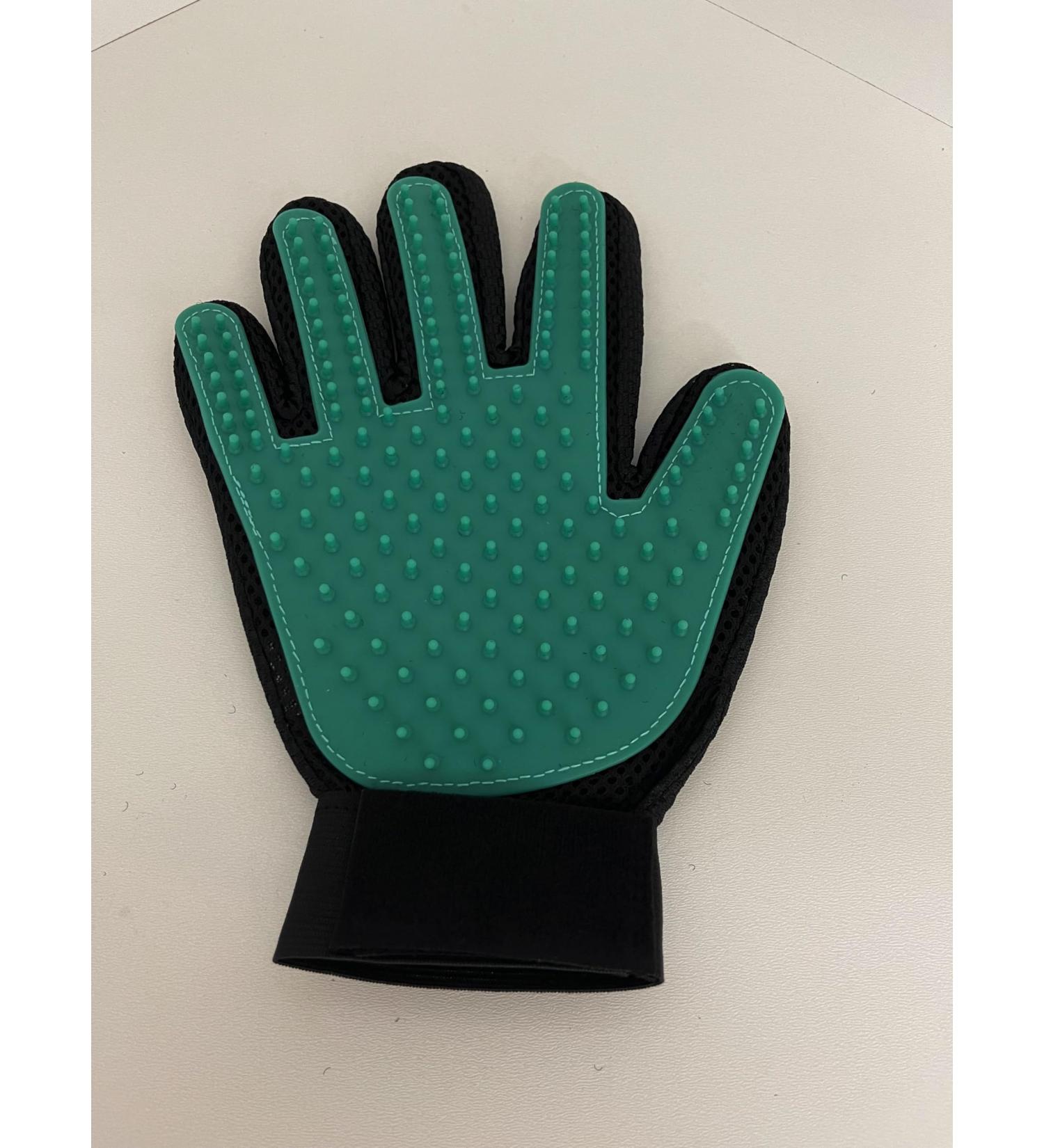 Prowin Best Friends grooming glove with knobs in five-finger design