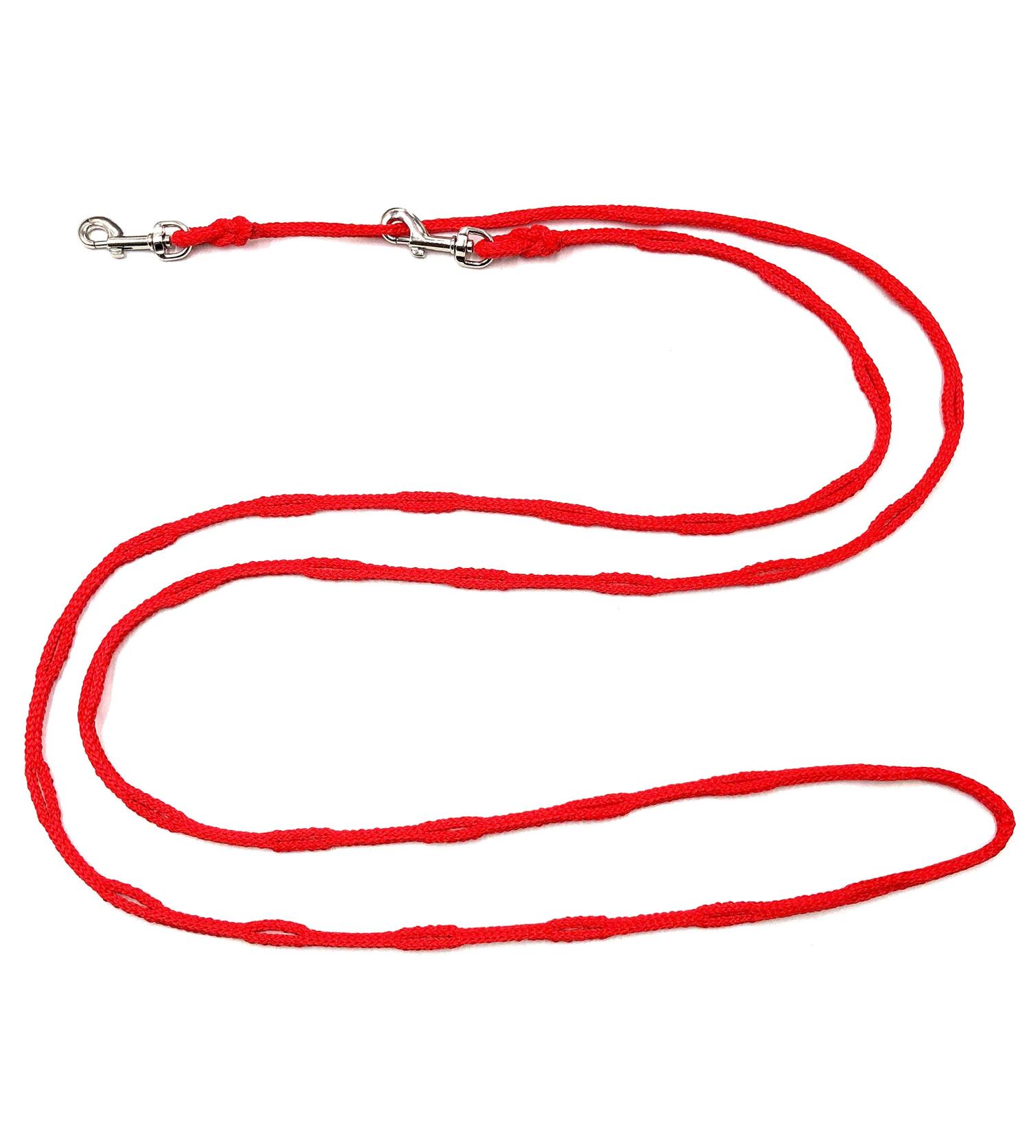 Premium 3.50m Jogging Dog Leash for Small Dogs - Red 6mm Bicycle & Training Line | Freehand Leash for Easy Walking - Buy Online on GoSupps.com
