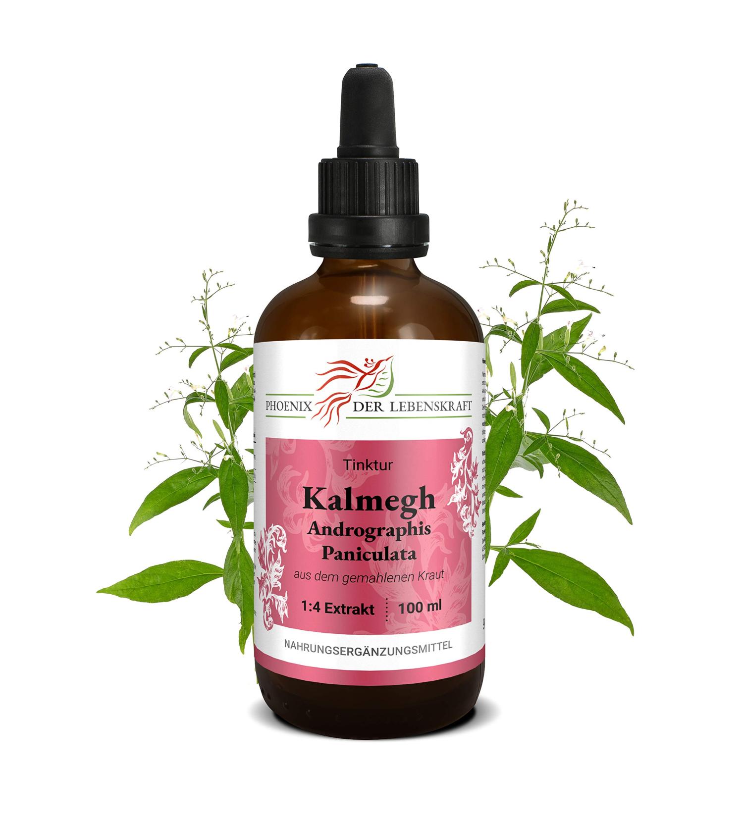 Kalmegh Tincture 100ml - Premium Vegan Andrographis Paniculata Supplement | 1:4 Extract | Made in Austria - Buy Online on GoSupps.com