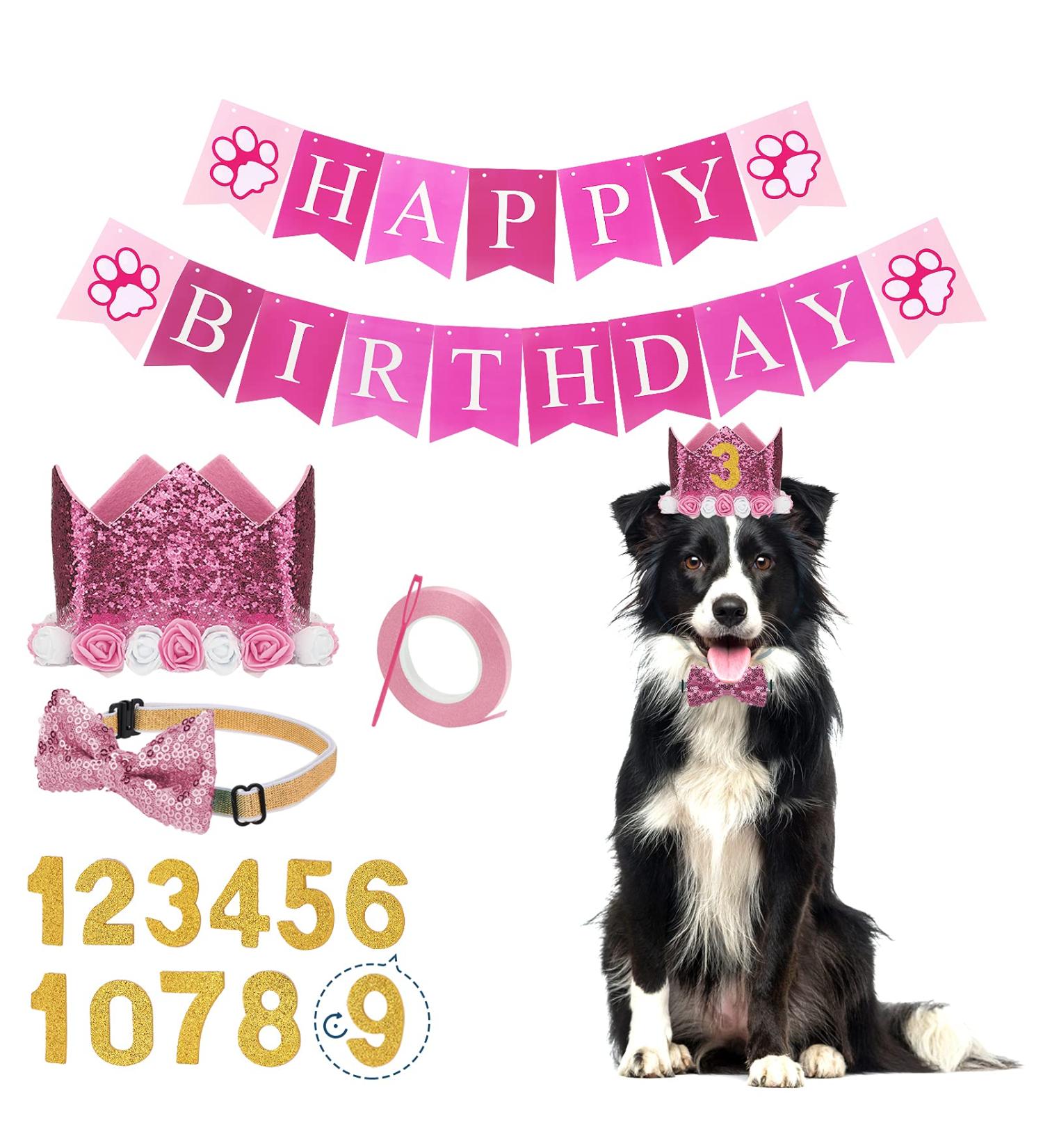 Dog Birthday Party Accessories | Pink Decoration Set with Crown Glitter Fly & Happy Birthday Banner for Dogs & Cats - Buy Online on GoSupps.com