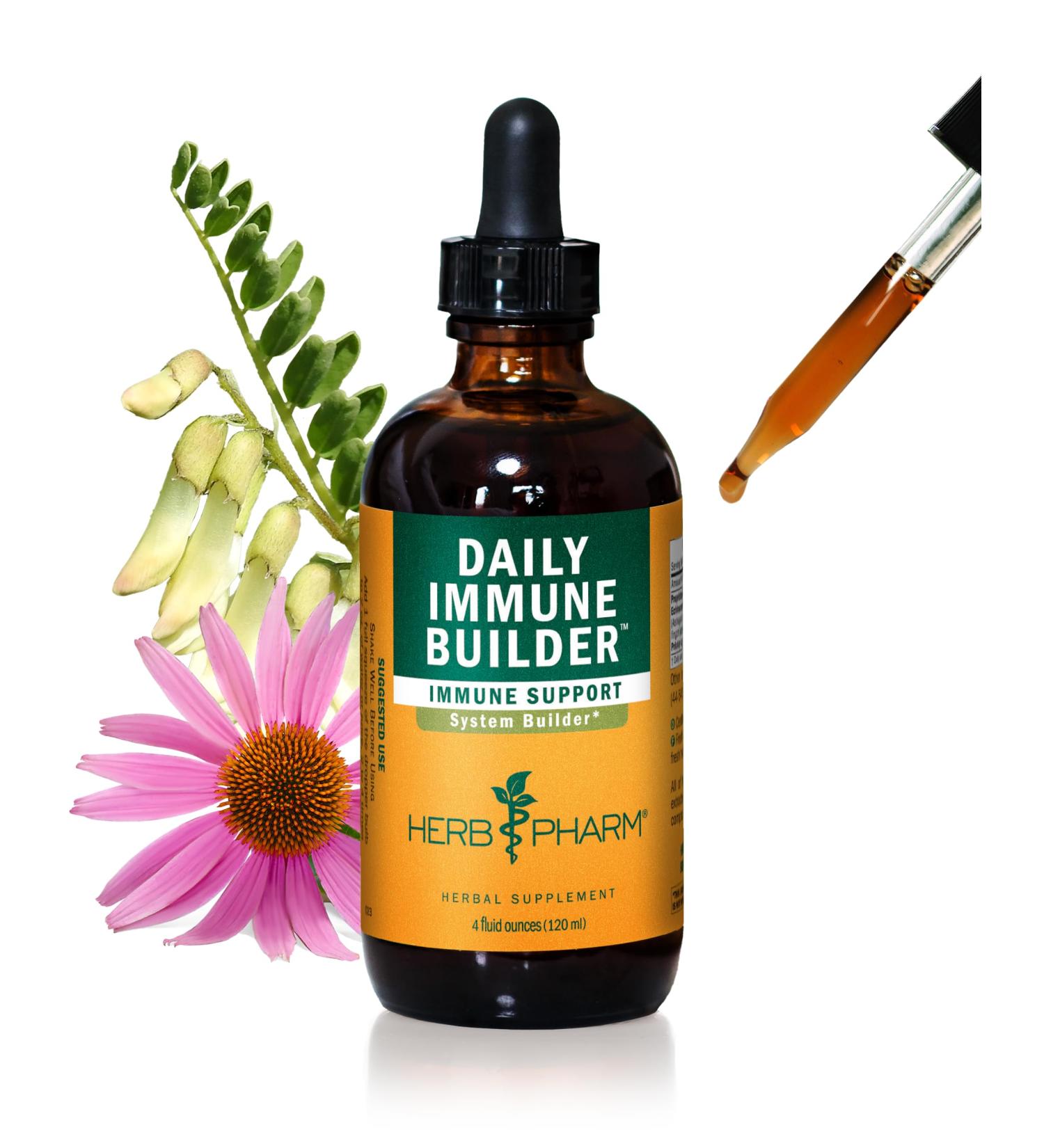 Herb Pharm Daily Immune Builder Herbal Immune System Defense - 4 Ounce 4 Fl Oz (Pack of 1) - Buy Online on GoSupps.com