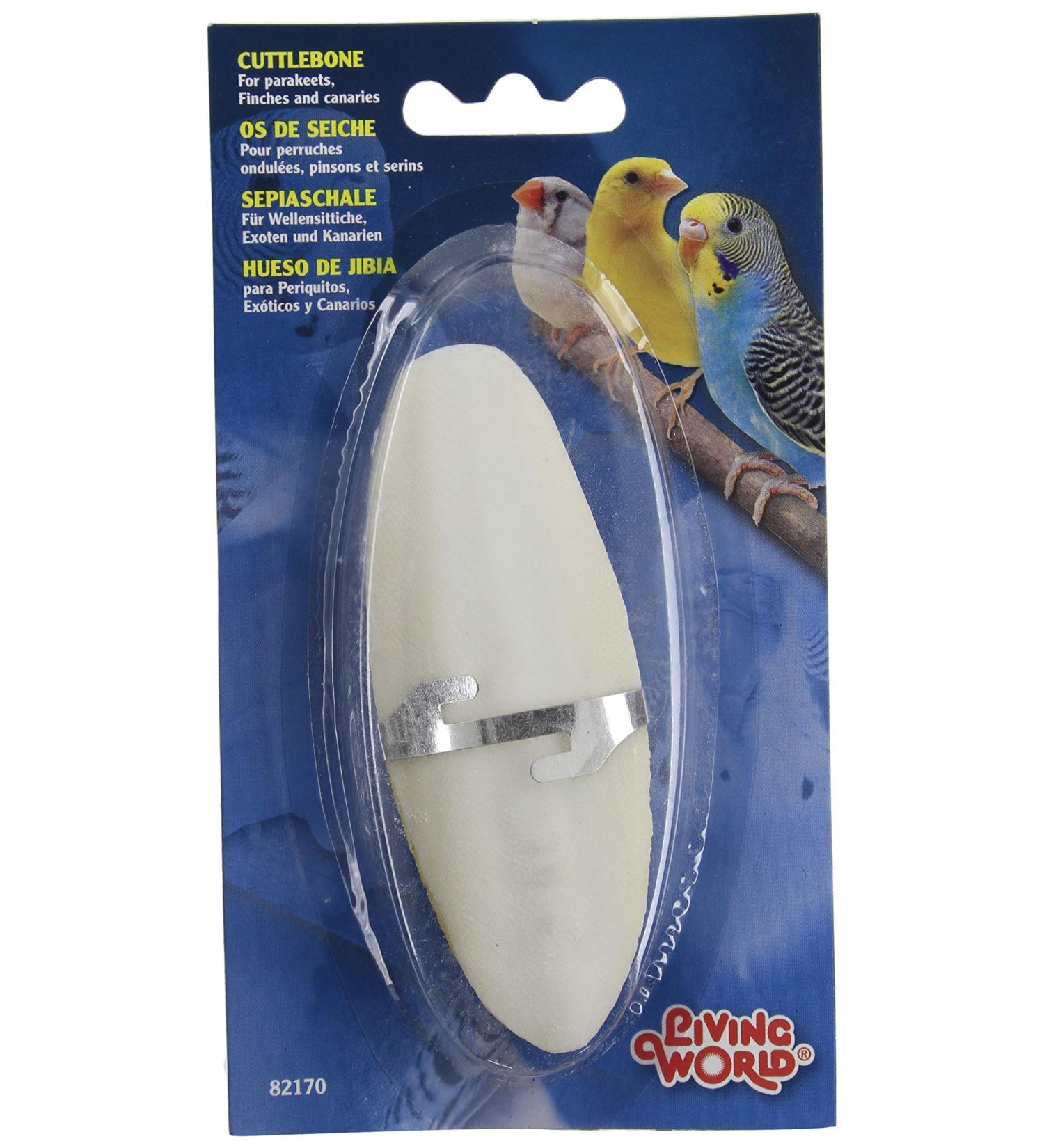 Buy HG Sepia Shell Small - Premium Quality Fast International Shipping - Buy Online on GoSupps.com