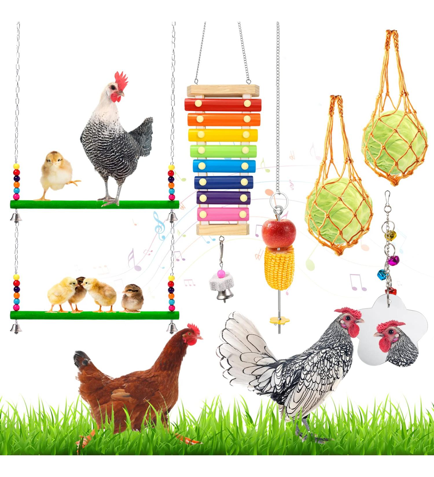 Woiworco Chicken Coop Accessories: 7 Pack Chicken Toys - Xylophone, Swing, Mirror, Pecking, Vegetable Feeder & More - Buy Online on GoSupps.com
