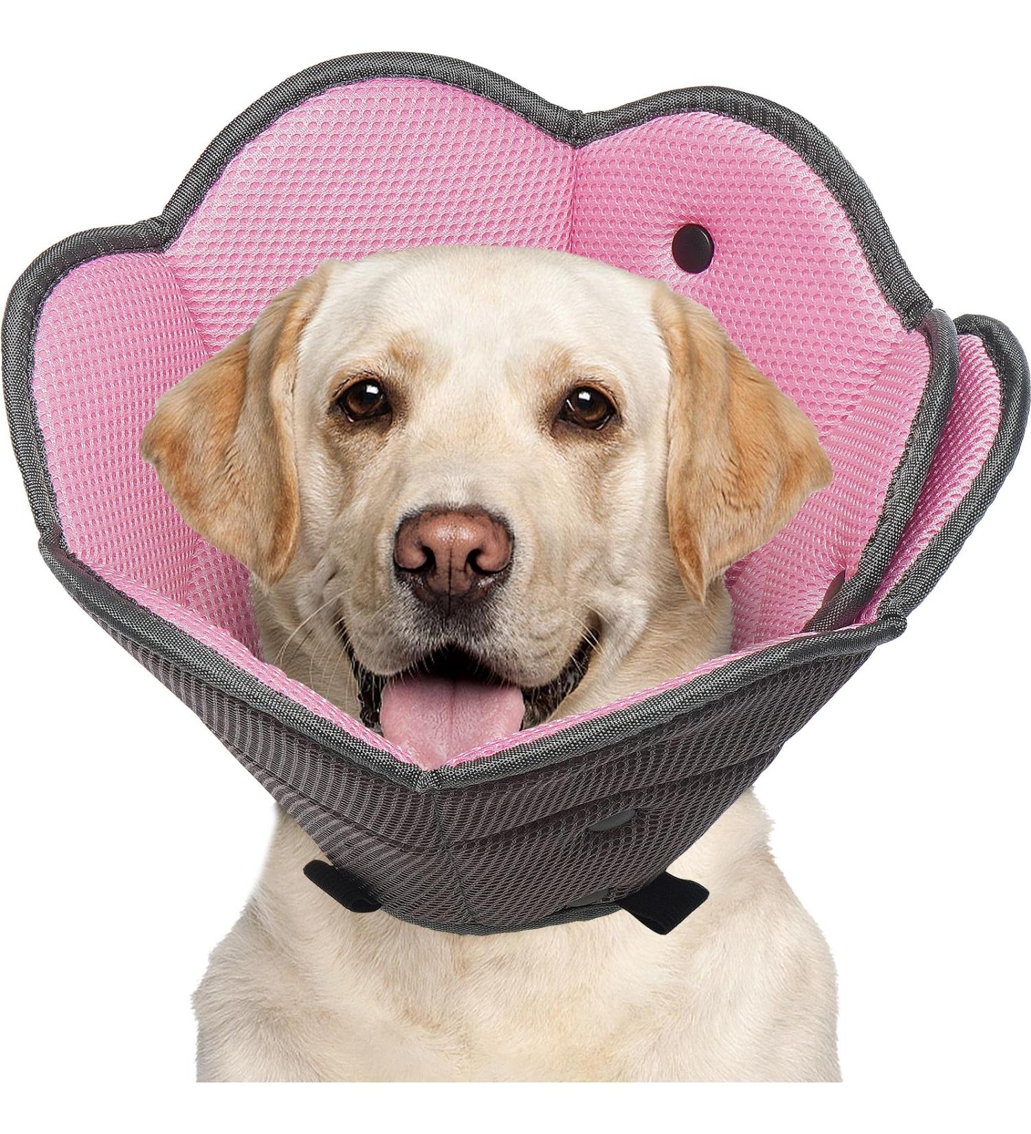 Soft Dog Cone - Icoii Sore Crane Collar for Spayed/Neutered Dogs | Leak Protection & Comfort for Large Breeds like Pitbulls Beagles Bulldogs - Pink L - Buy Online on GoSupps.com