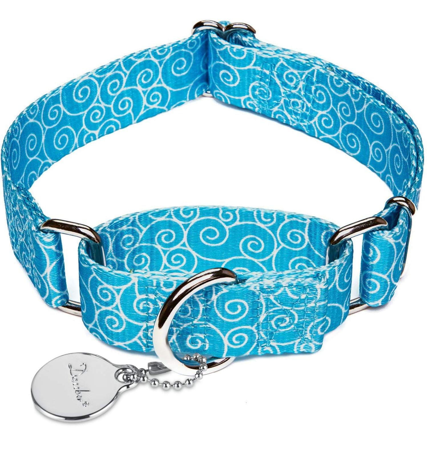 Dazae Martingale Dog Collar - Sky Blue XS (20.3-30.5 cm) | Adjustable Hard-Wearing Safety Training Collar for Small Dogs | Auspicious Cloud - Buy Online on GoSupps.com