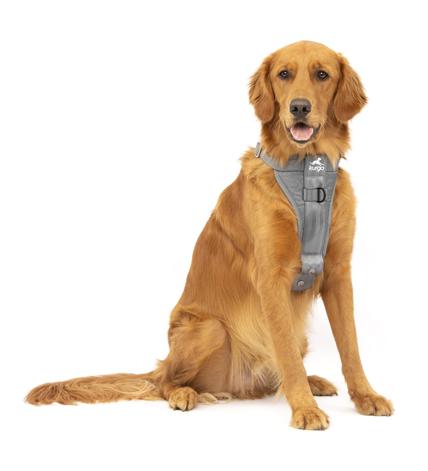 Kurgo Tru-Fit Dog Harness - Crash Tested Car Seat Belt for Dogs 2-5 kg | Size XL - Gray - Buy Online on GoSupps.com
