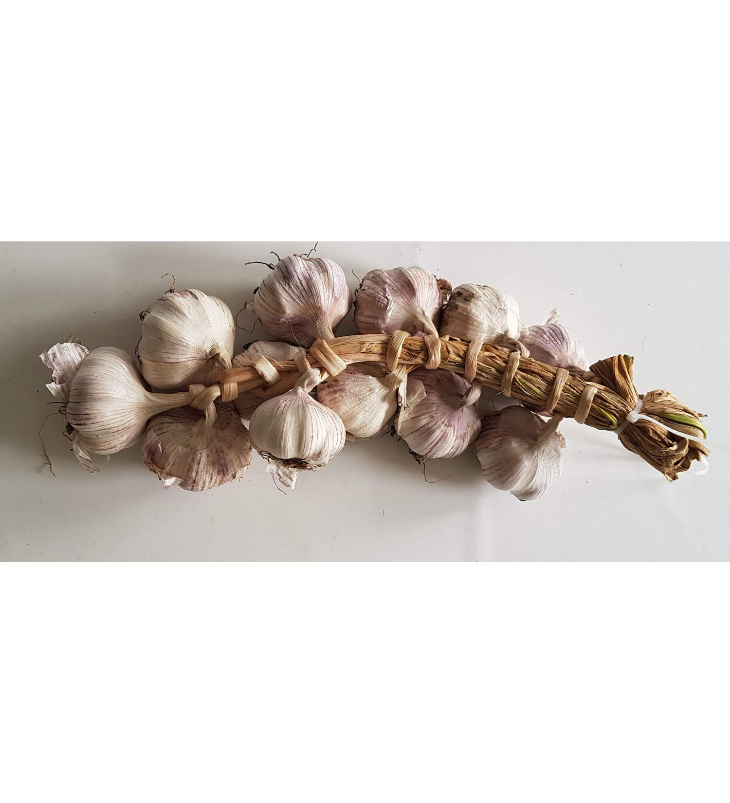 youdreamitaly Garlic Braid - Offer 3 Pieces - Buy Online on GoSupps.com