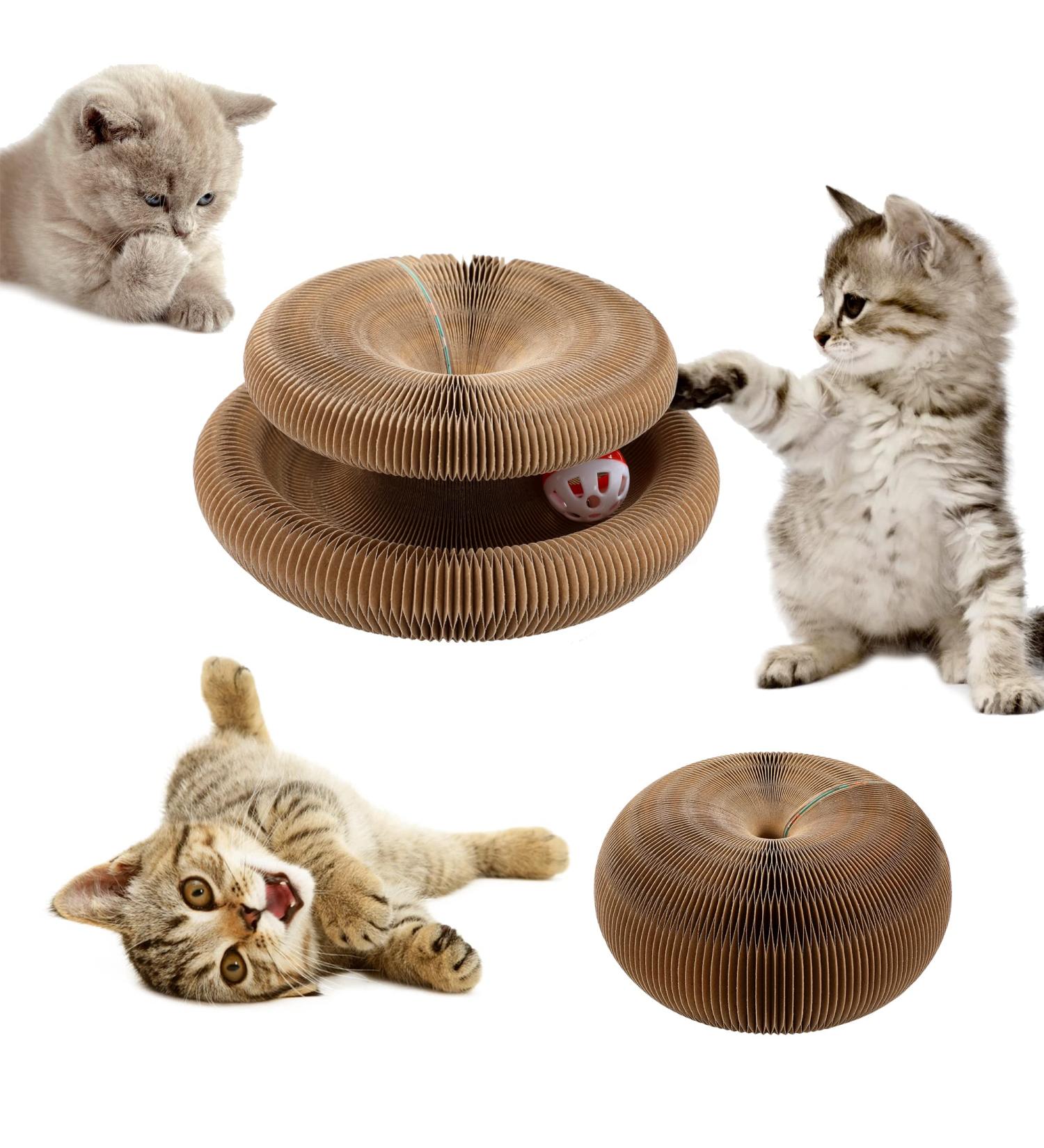 PetHse Magic Organ Cat Scratching Board - Interactive Scratch Pad Toy with Toy Bell Ball - Buy Online on GoSupps.com