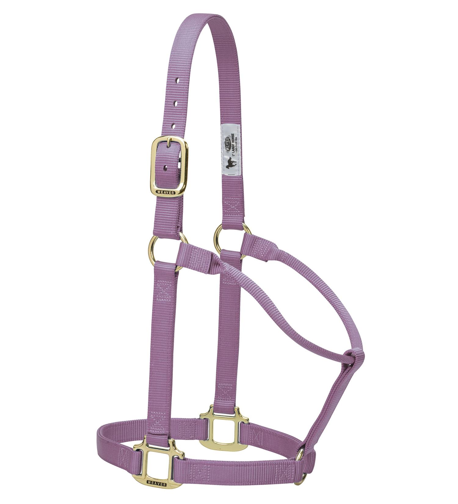 Buy WEAVER Leather Non-Adjustable Halter in Lavender for Yearlings - Premium Quality Equestrian Gear Worldwide Shipping Available - Buy Online on GoSupps.com