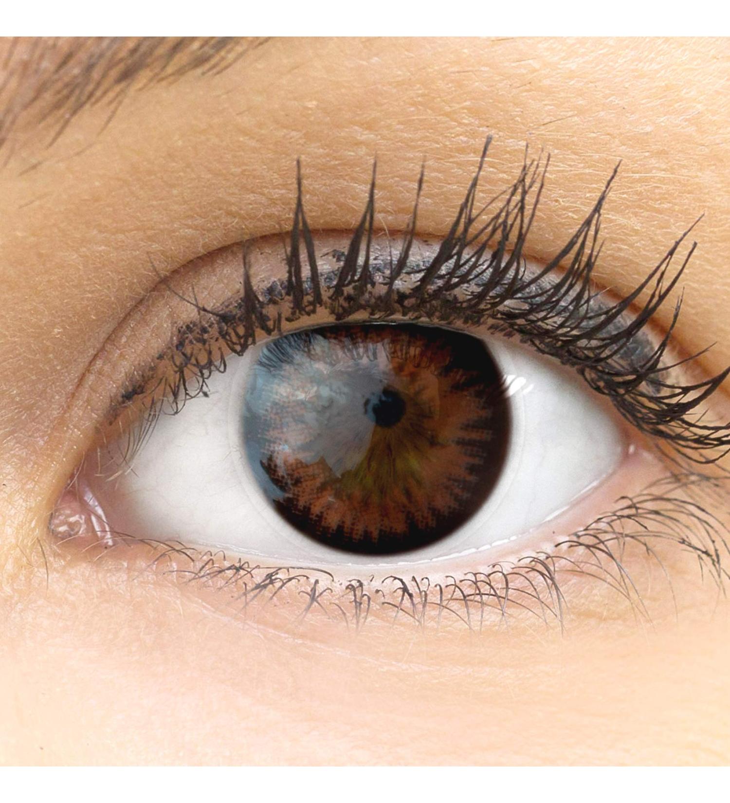 Buy Comfortably Natural Brown Contact Lenses - Novelry Siena Choco Braun | 1 Pair with Container | Dia 14.50 | No Prescription Needed - International Shipping - Buy Online on GoSupps.com