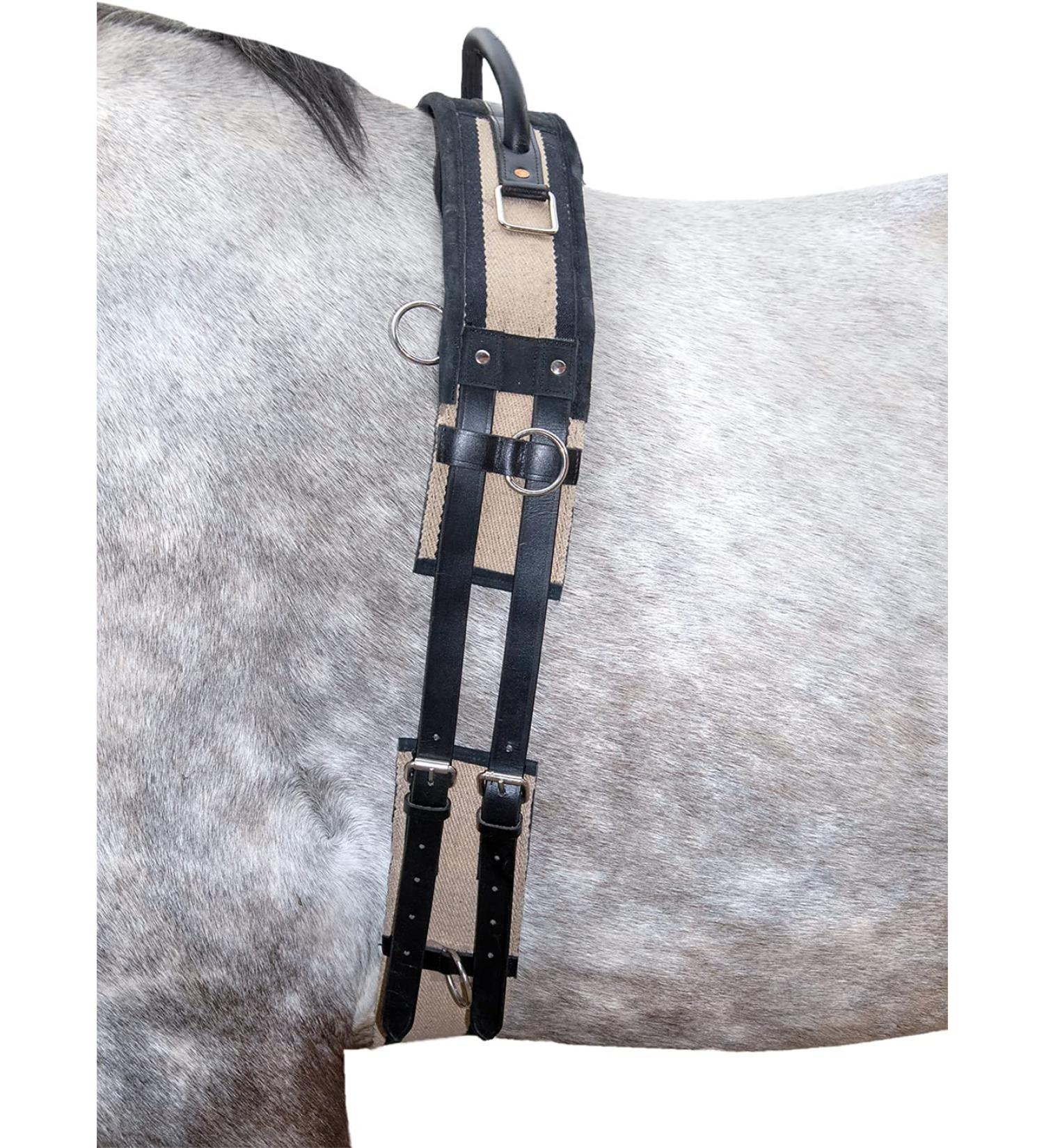 HKM Horses Lunging Belt with Handle | Durable Canvas & Leather | Pony Black-Beige - Shop Internationally - Buy Online on GoSupps.com