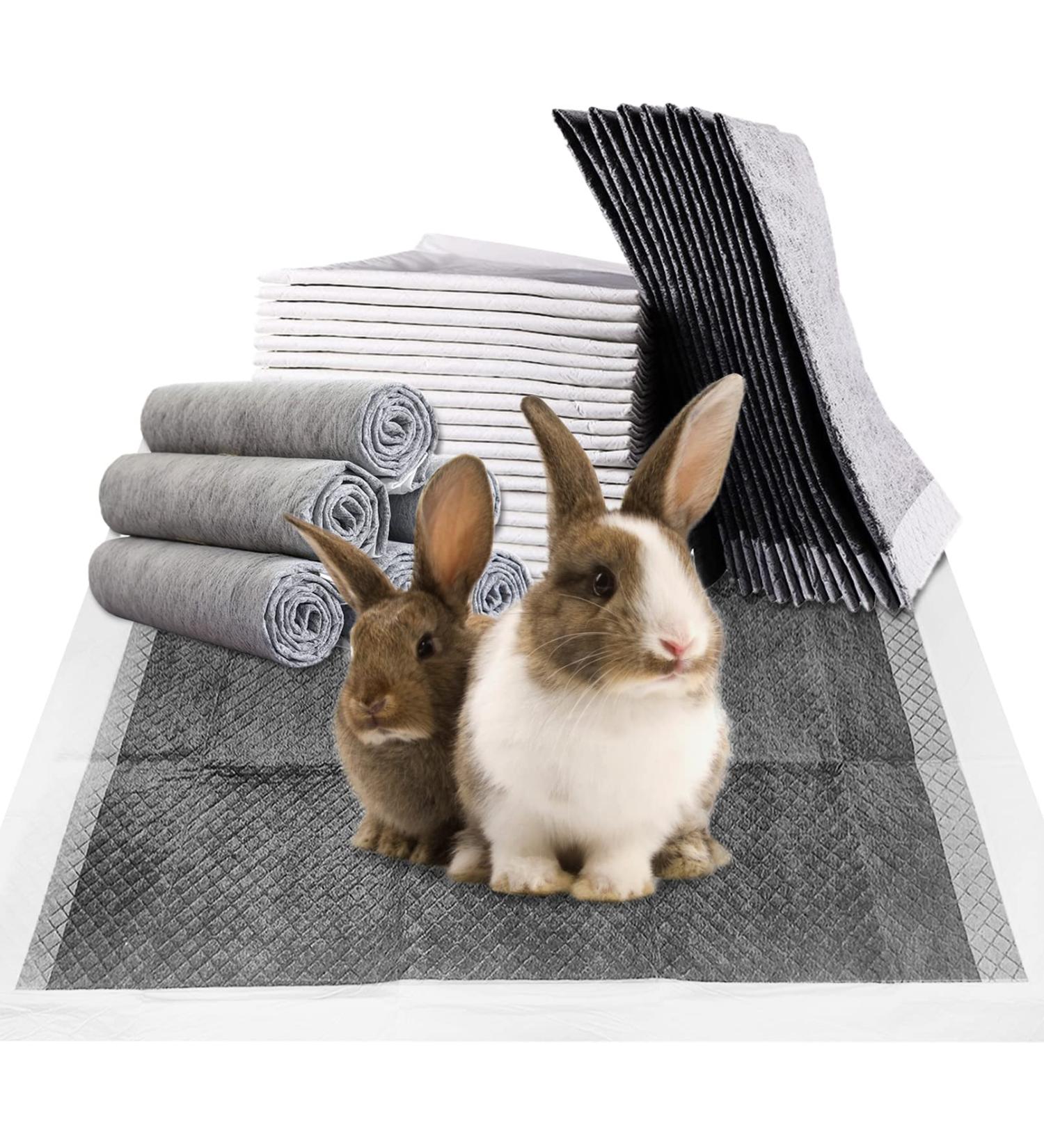 Fhiny Rabbit Pee Pads 100ct - Disposable Charcoal Bunny Pads for Dogs, Cats, Small Pets - Leak-Proof & Super Absorbent Potty Training Pad - 13 x 18 inches - Buy Online on GoSupps.com
