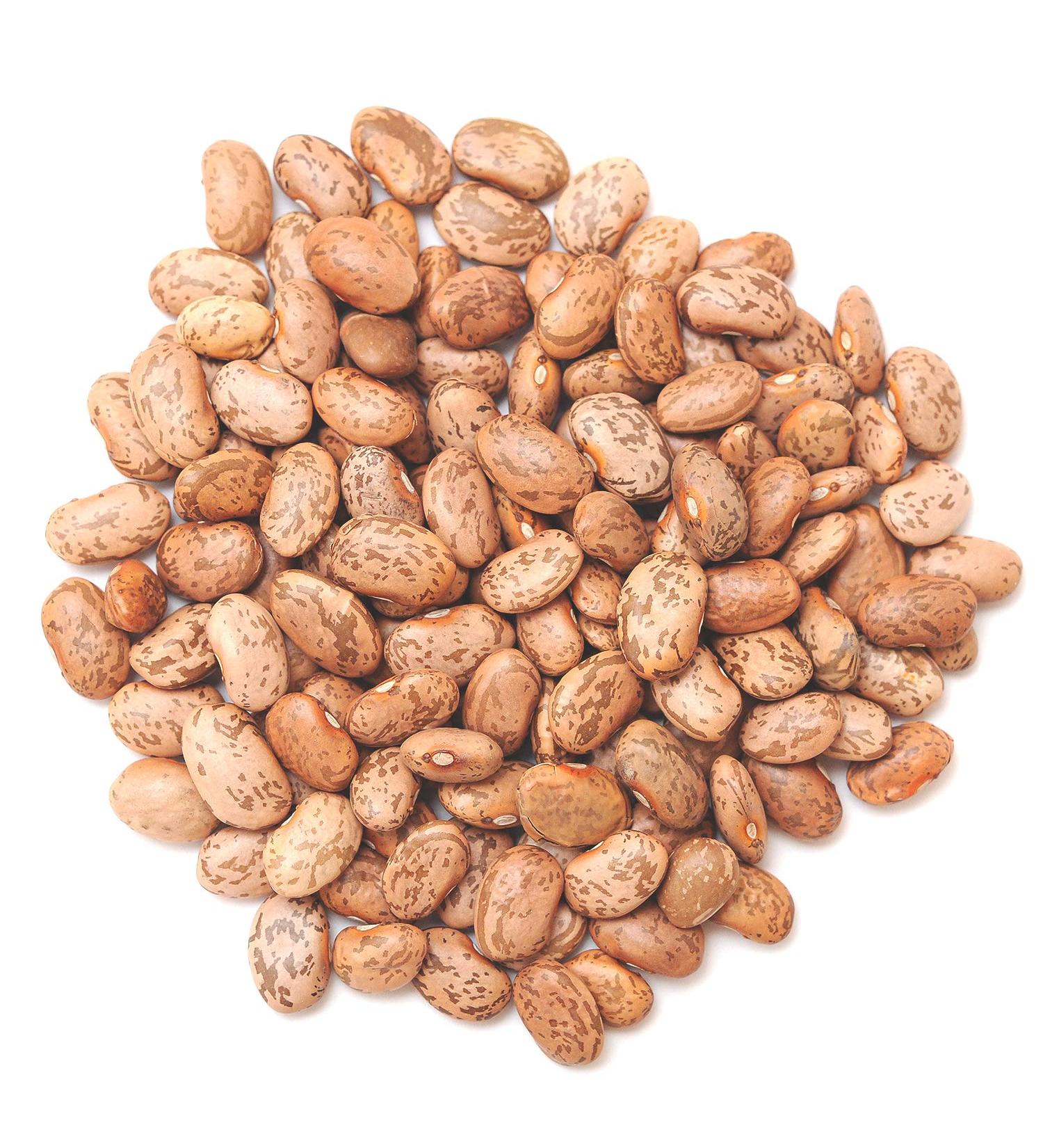Pinto Beans Dry Bulk (16 Pounds) - Premium USA Grown for Perfect Refried Beans | 100% Natural & Triple Cleaned - Buy Online on GoSupps.com