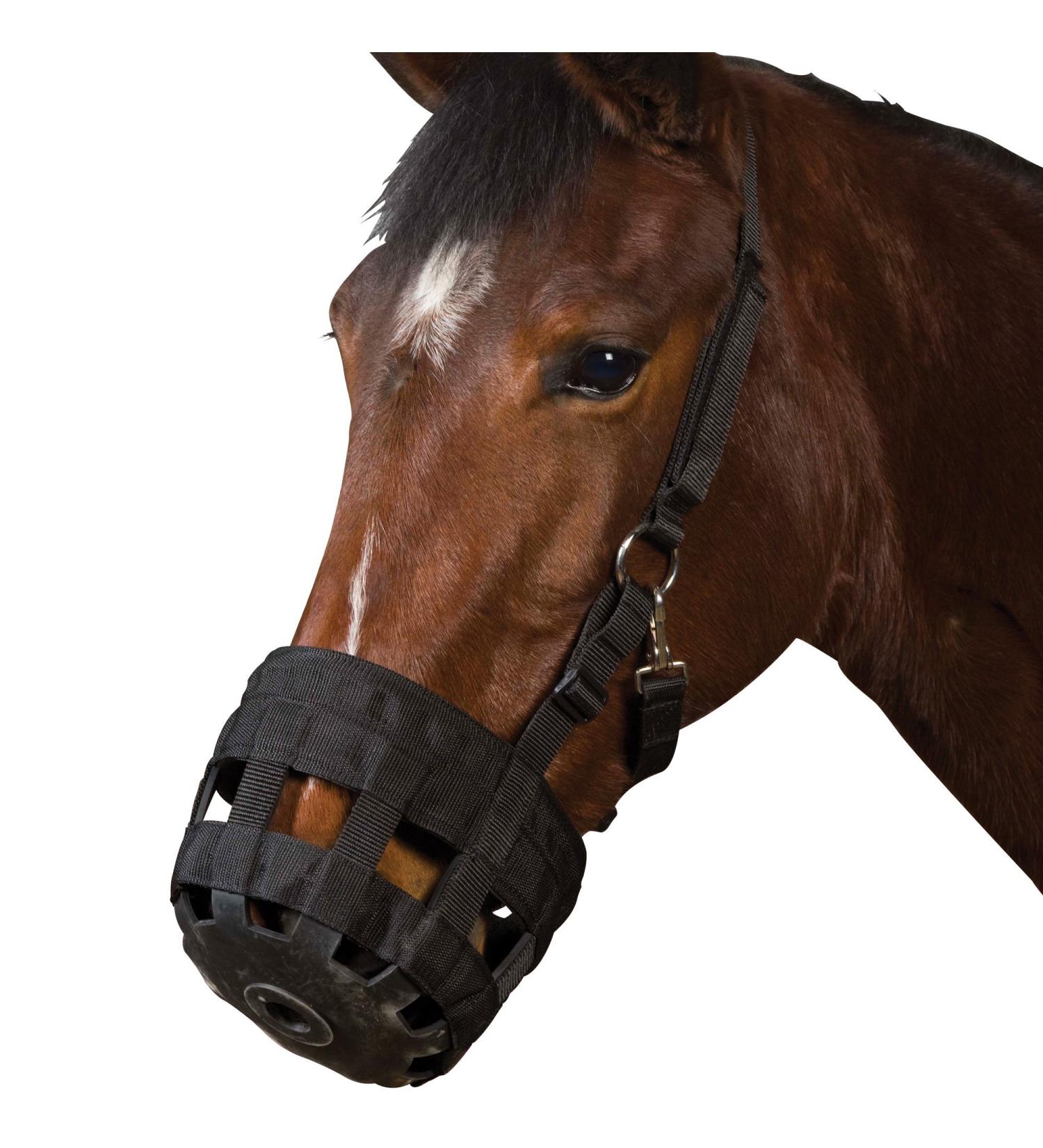 Roma Grazing Muzzle Black Cob Cob Black