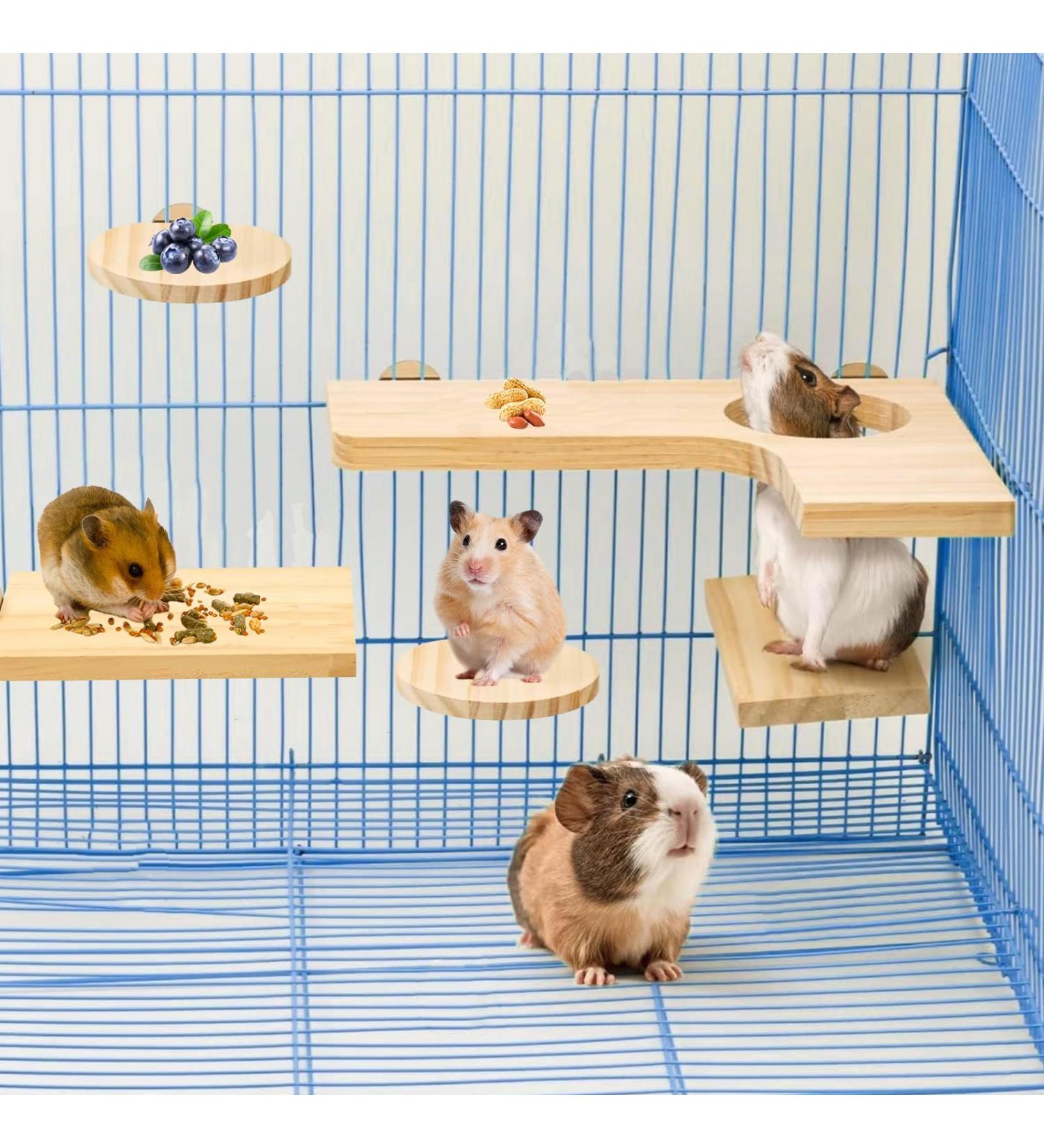 Nizirioo 5-Piece Hamster Accessories Set | Natural Wood Toys & Cage Decor for Hamsters Guinea Pigs Chinchillas & Mice - Buy Online on GoSupps.com