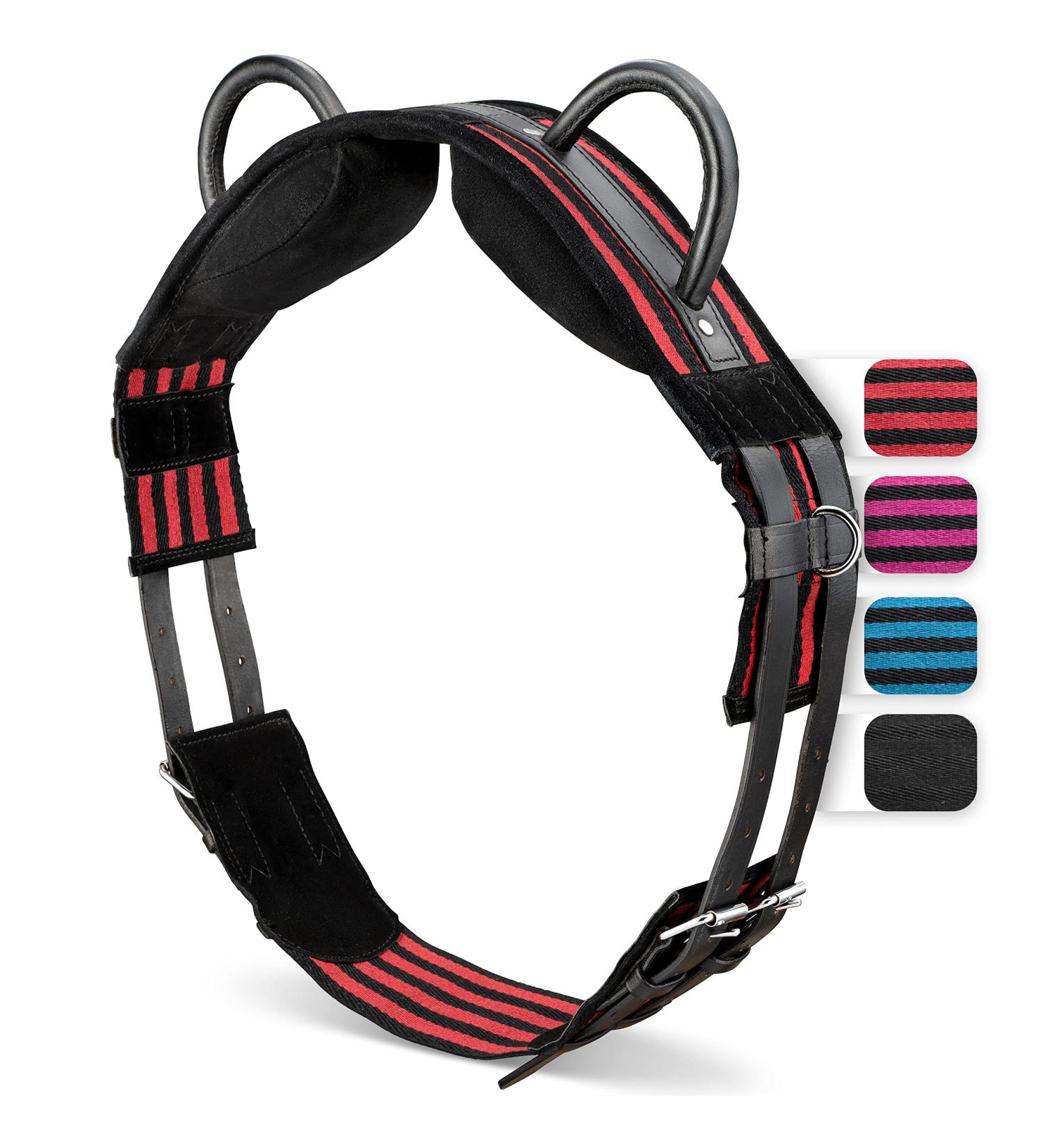 Esposita Riding Strap with 2 Leather Handles - Ideal for Children & Riders | Versatile Lunging & Vaulting Belt | Pony Accessories in Red-Black - Buy Online on GoSupps.com