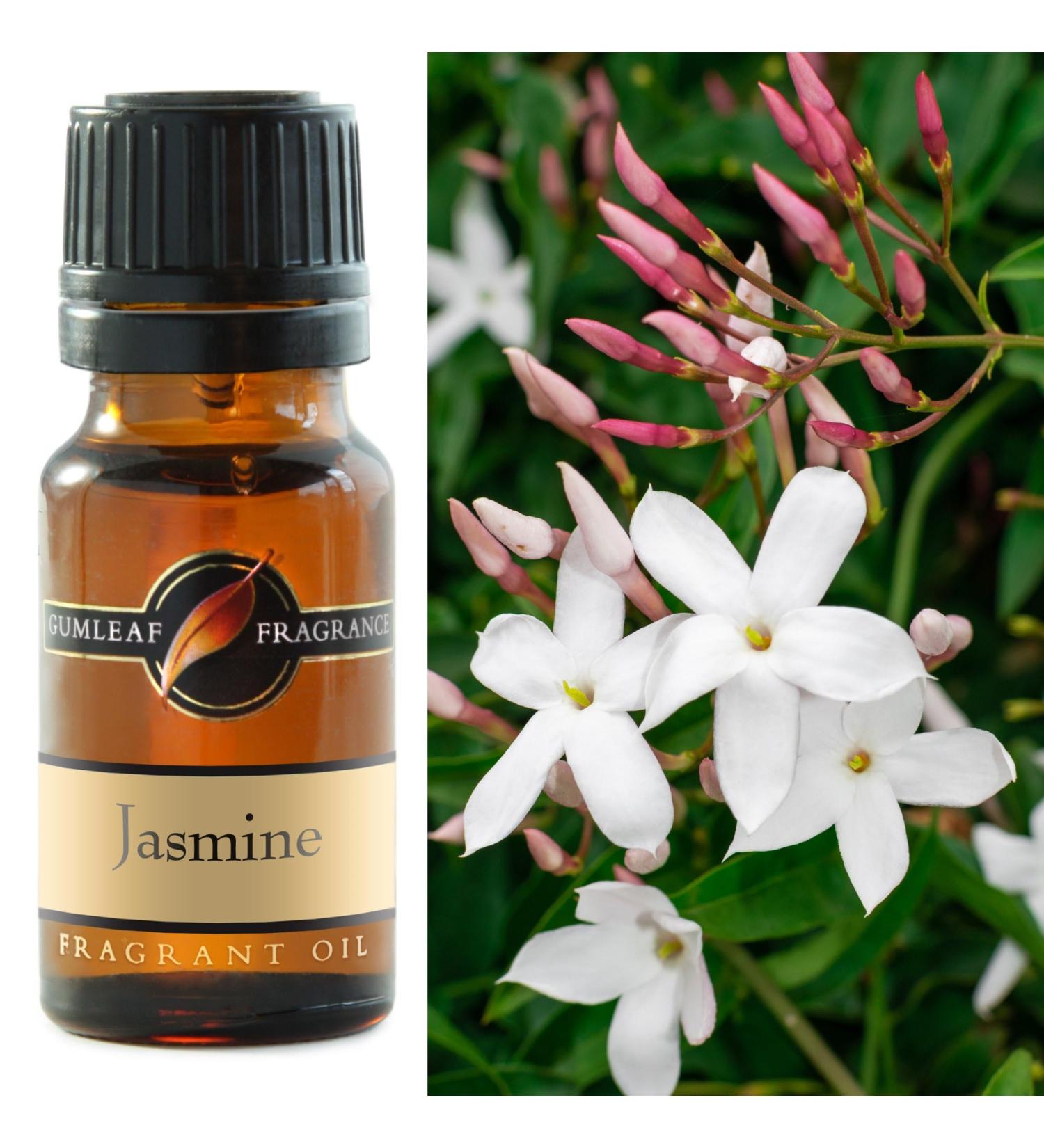Gumleaf Fragrance Jasmine Fragrant Oil - 0.34fl oz Cruelty Free & Vegan Phthalate-Free Fragrance