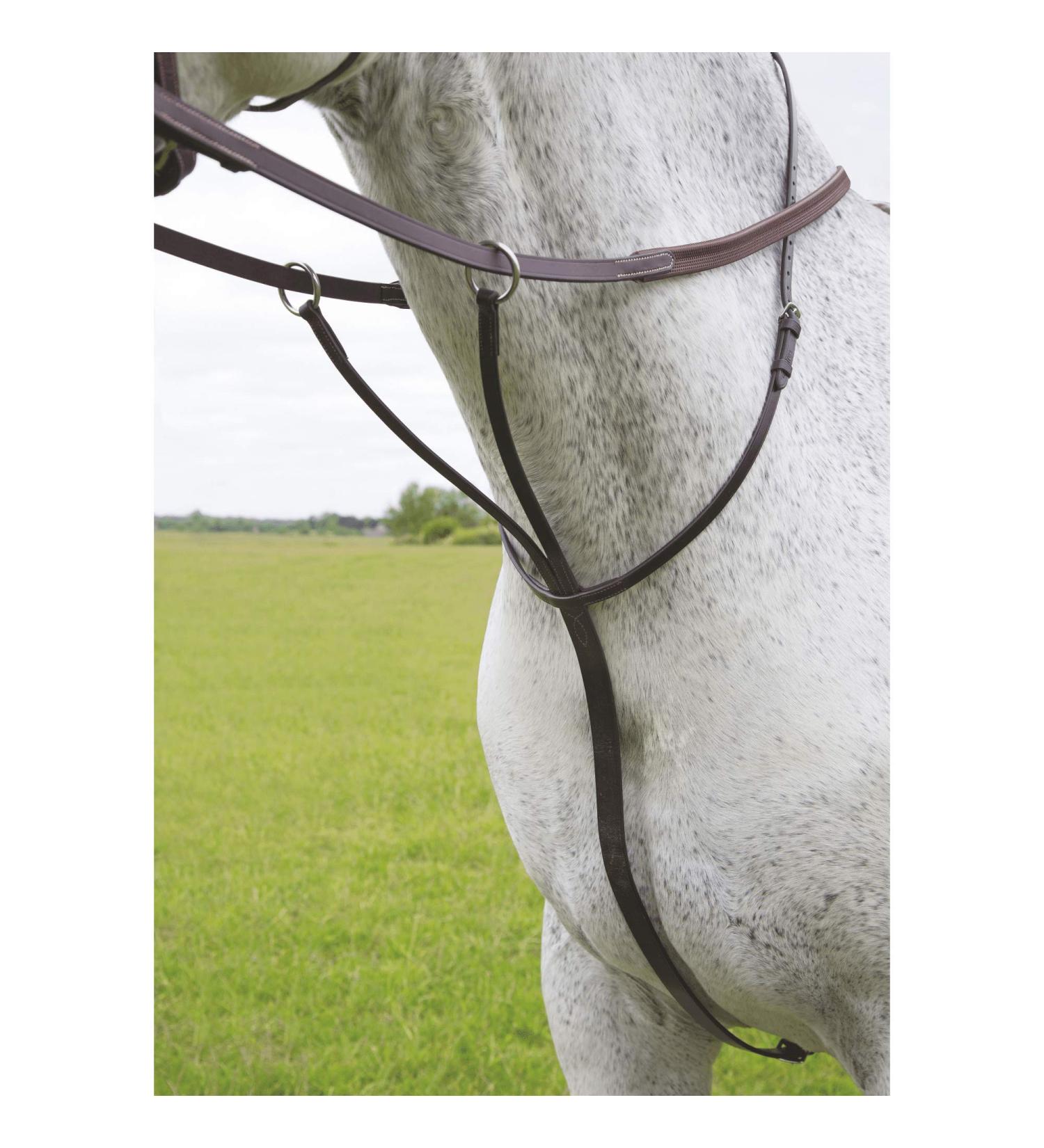 Shires Blenheim Running Martingale Black Pony