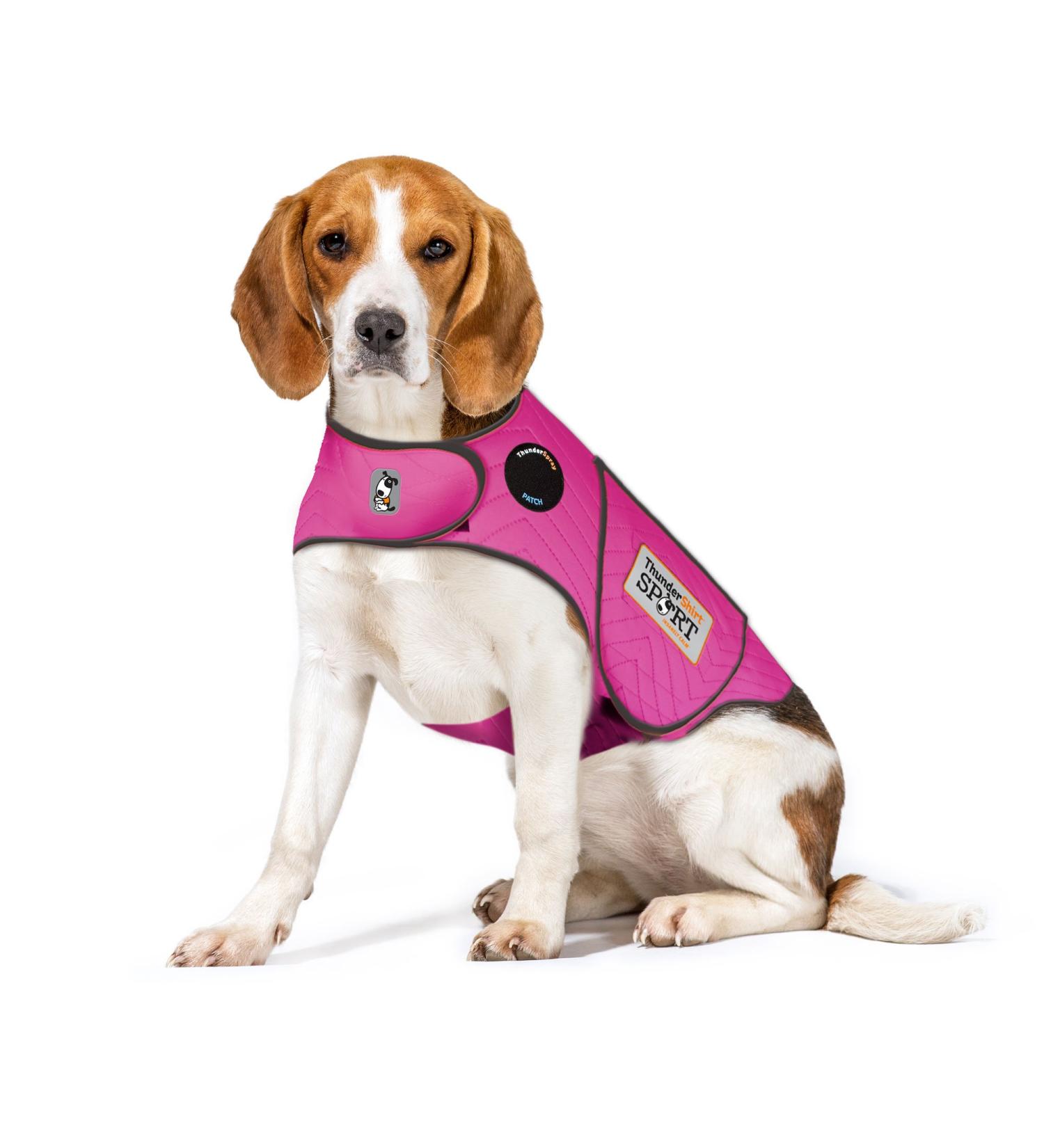 Buy ThunderShirt for Dogs - Fuchsia Sport Dog Anxiety Vest Size M | International Shipping Available - Buy Online on GoSupps.com