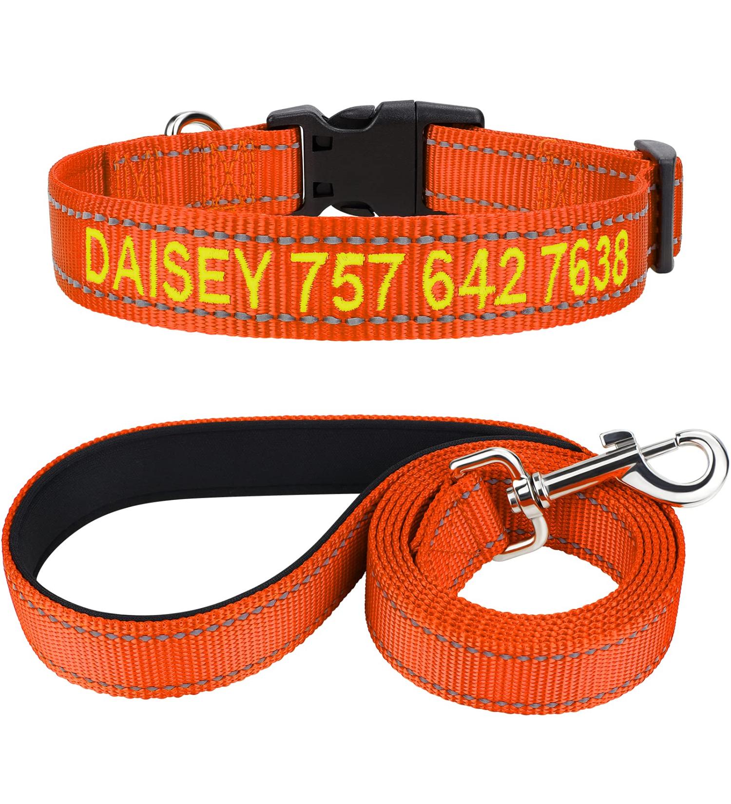 Shop Tagme Orange Dog Collar & Leash Set - Personalized Reflective 1.5m for Medium Dogs - Buy Online on GoSupps.com