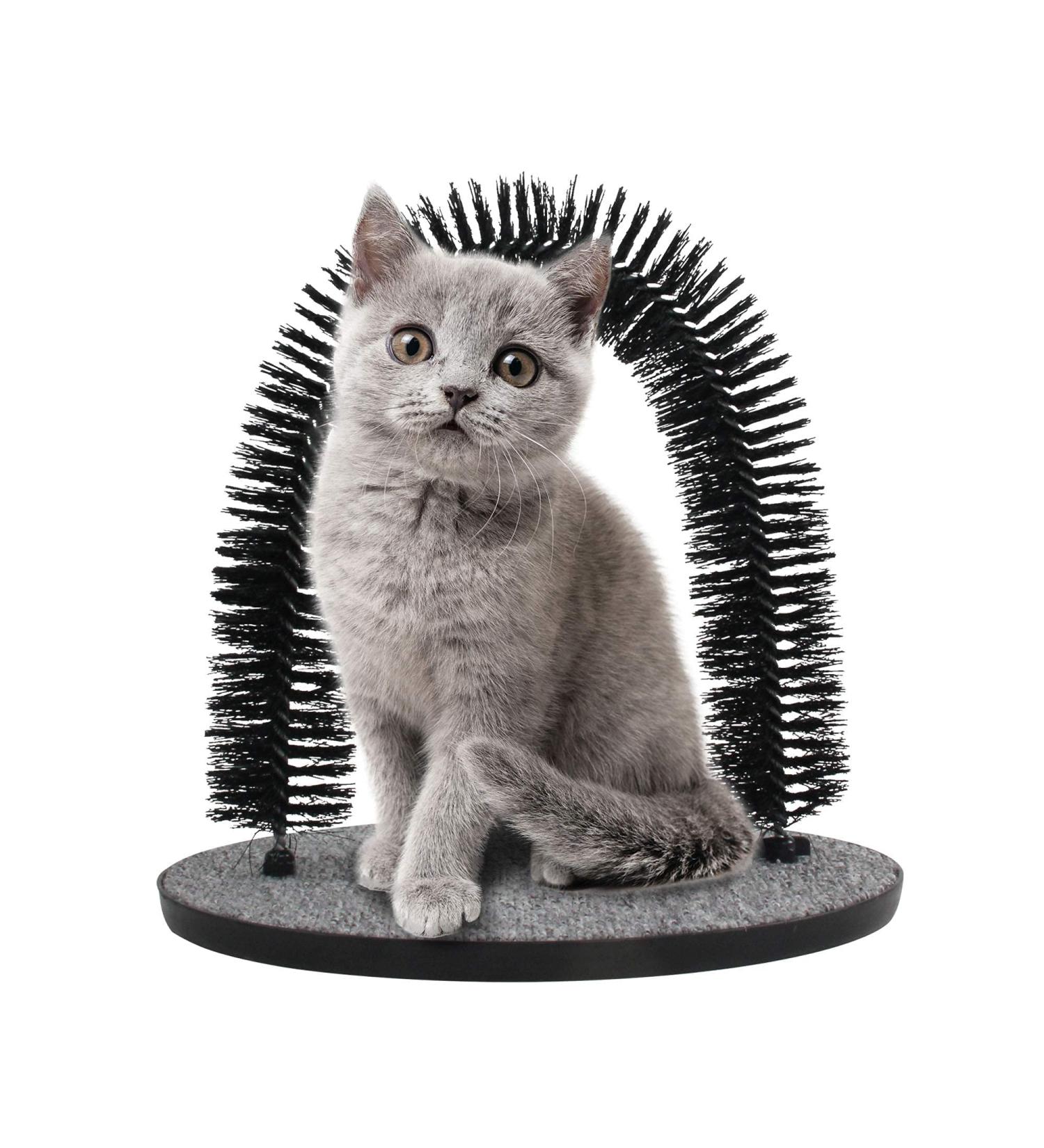 Arch Cat Groomer Cat Self Grooming Brush Cat Toy Cat Self Groomer Massager and Cat Scratcher Hair Trimming Brush Cat Scratcher Pet Toy Pattern ONE - Buy Online on GoSupps.com