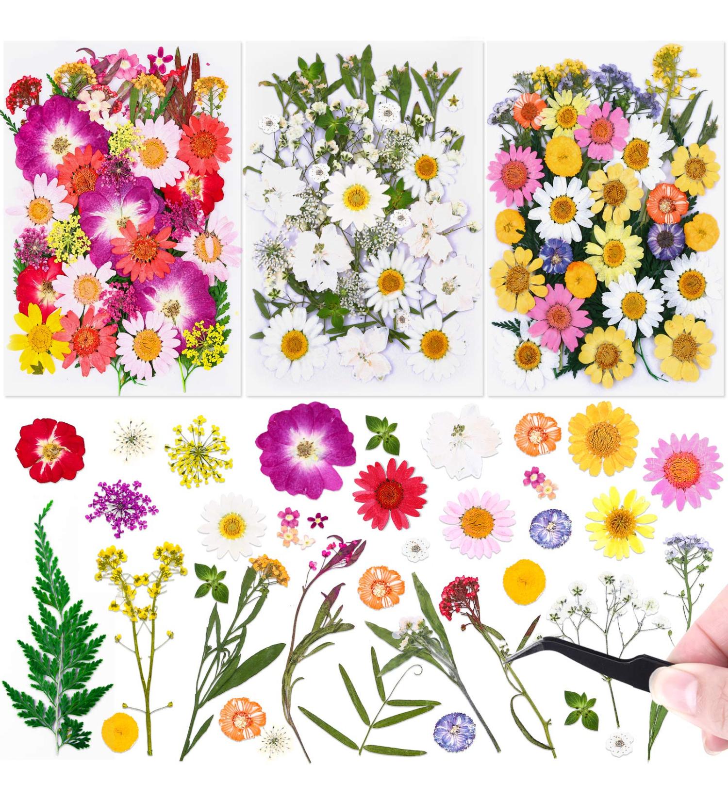Dried Flowers and Leaves Kit for Resin Molds - 120 PCS with Tweezers for DIY Art, Crafts, Candle & Jewelry Making, Scrapbooking, Nail Art - Natural Pressed Floral Embellishments - Buy Online on GoSupps.com