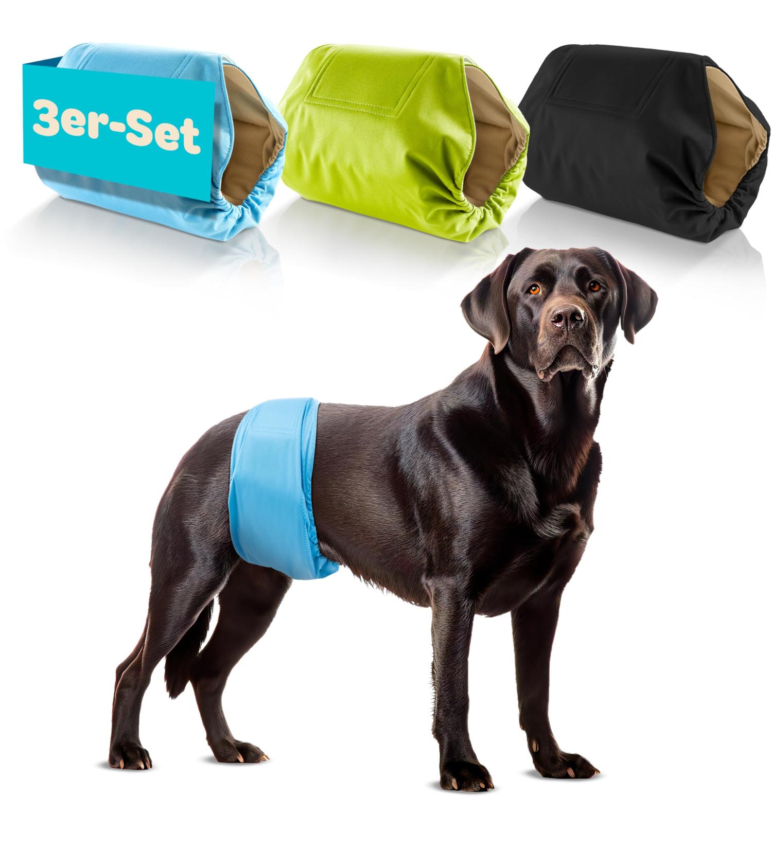Dog is K nig Male Dog Diapers - Eco-Friendly Washable Incontinence Diapers (3 pcs) | Comfortable Easy to Clean Suction-Strong - Sizes L (50-59cm) in Black Blue Green - Buy Online on GoSupps.com