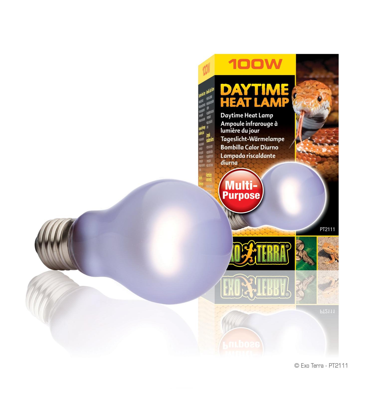 Exo Terra Daytime Heat Lamp - A19 100W Broad Spectrum Daylight | E27 Socket | Perfect for Reptiles and Amphibians - Buy Online on GoSupps.com