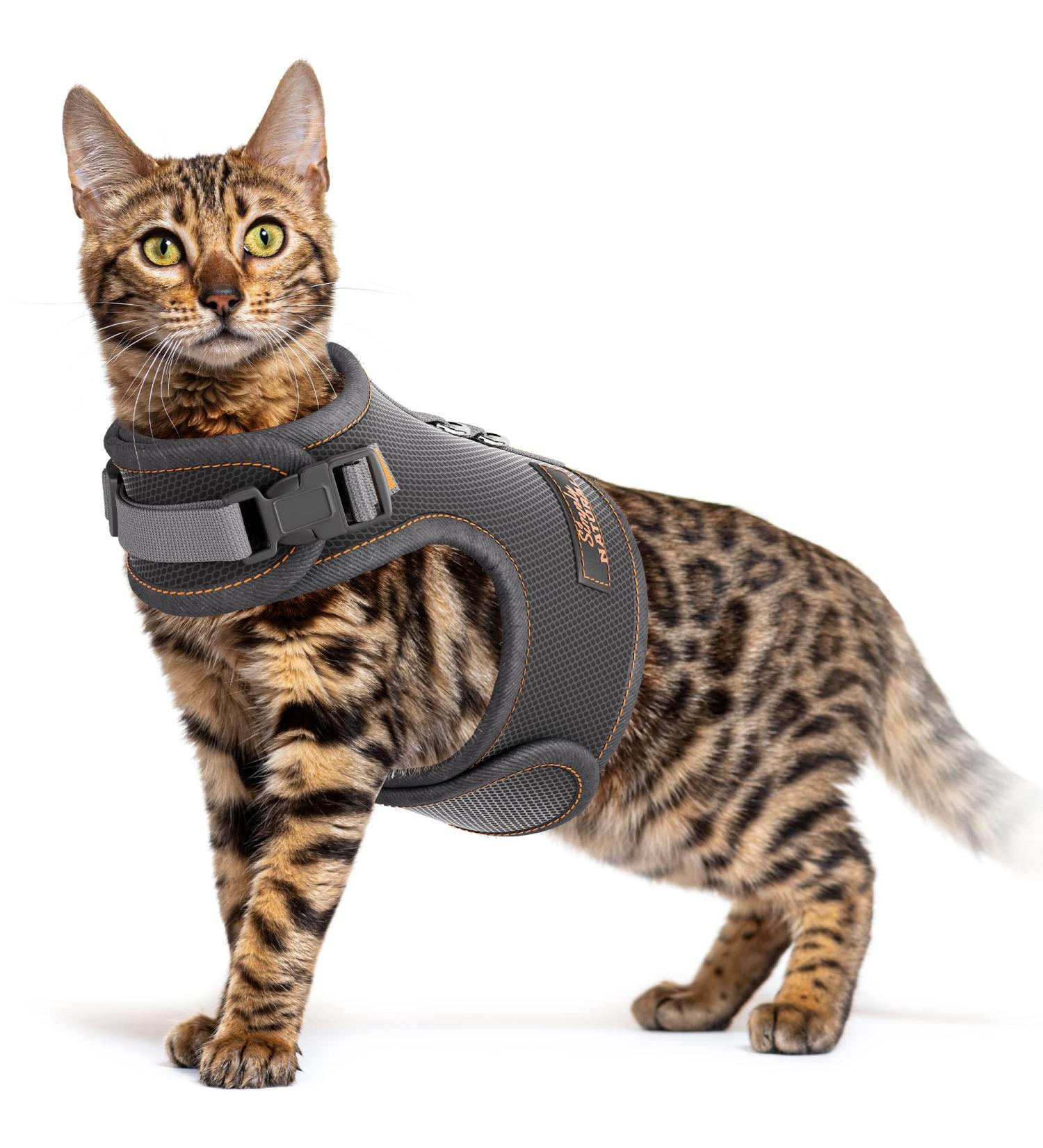 Adjustable Cat Harness and Lead Set - Escape Proof and Safe Design for Kittens - UK Universal Size Cat Leash - Buy Online on GoSupps.com