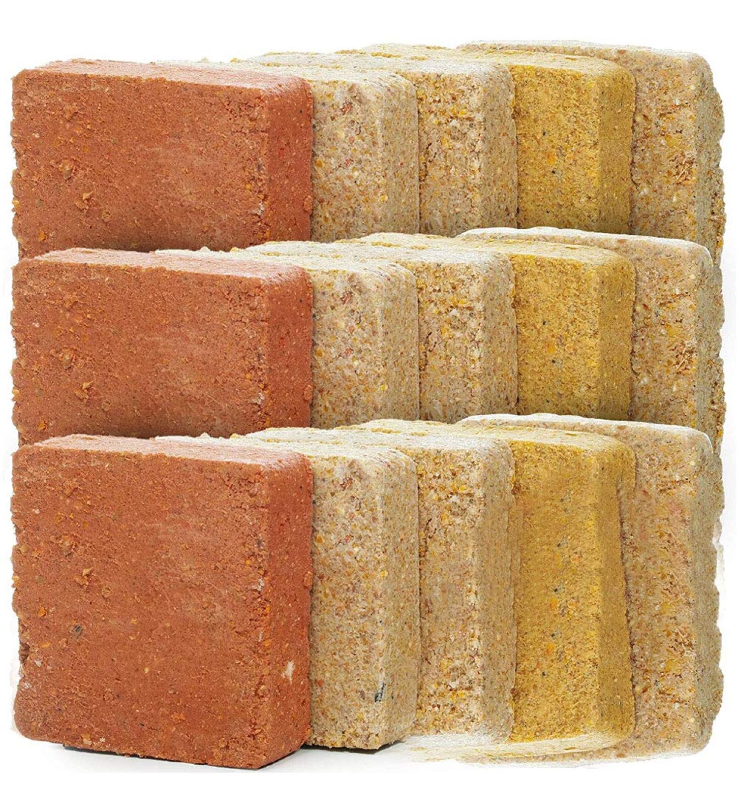 SQUAWK Suet Fat Blocks | Premium Grade Garden Wild Bird Food | Enhanced Formula | Naturally Blended High in Energy & Protein-Rich Feed | Full of Nutritious Fat Fibre & Moisture (Bug & Berry 5) Bug & Berry 5 count (Pack of 1) - Buy Online on GoSupps.com