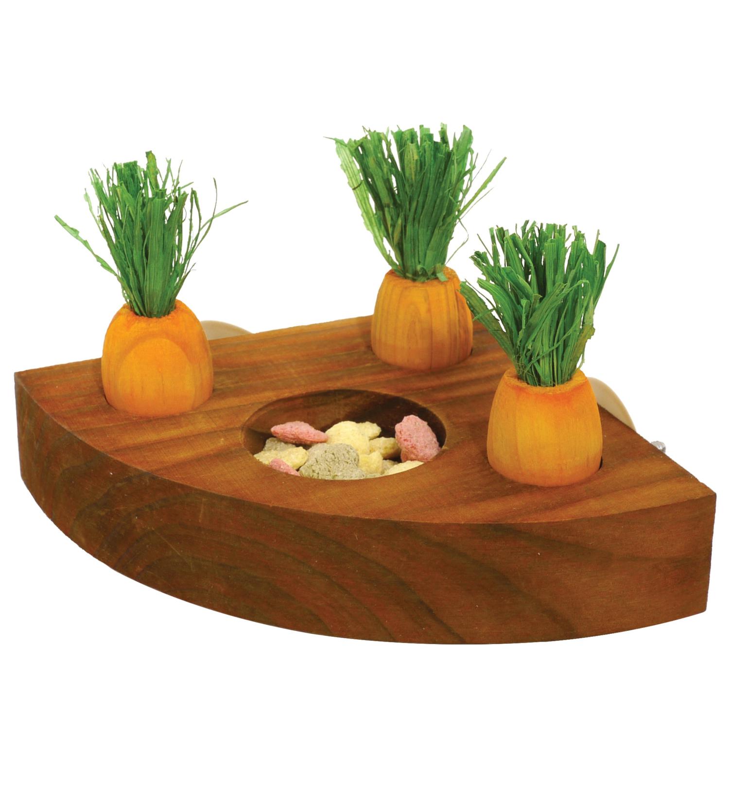 Rosewood 19260 Carrot Toy 'n' Treat Holder for Small Animals - Transparent Single - Buy Online on GoSupps.com