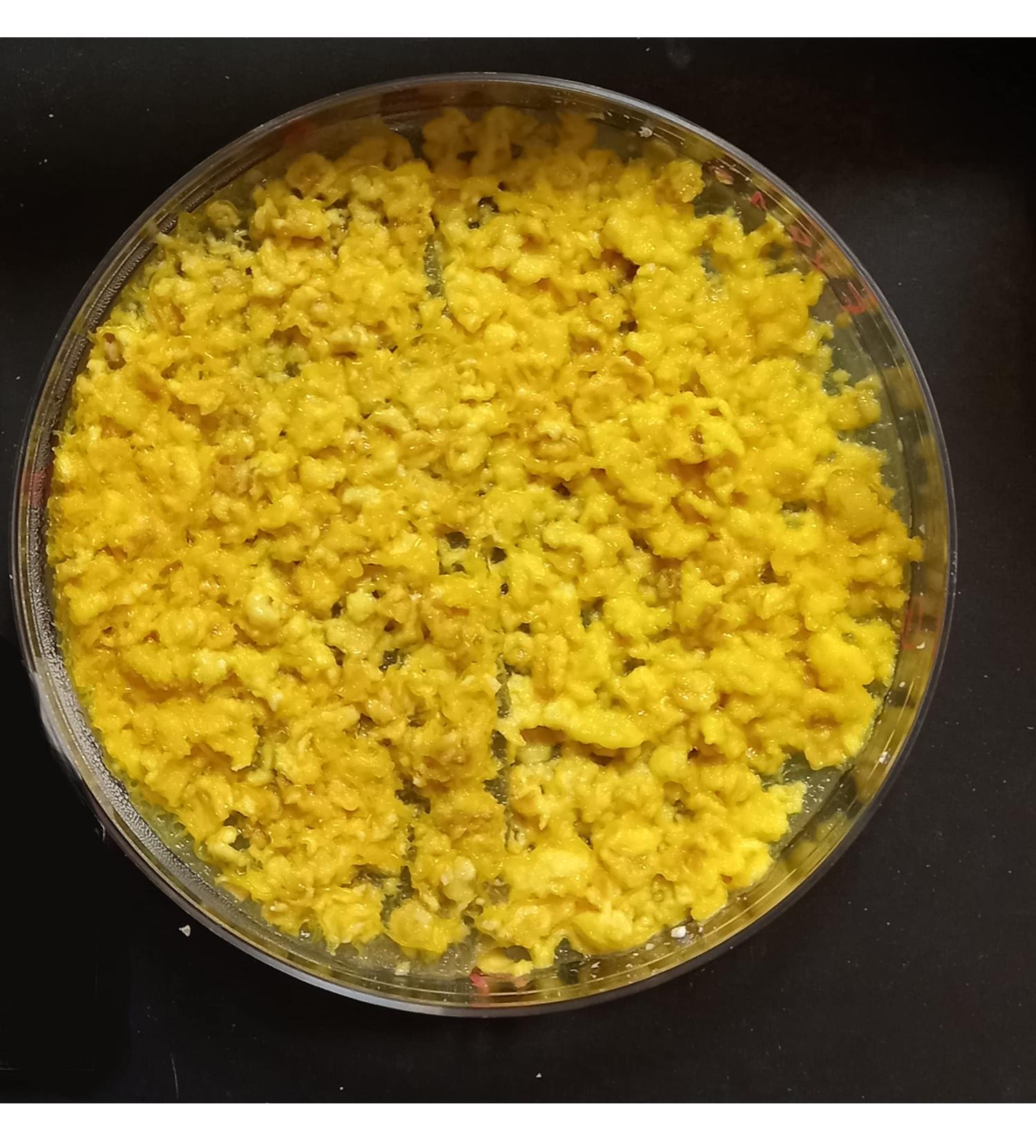 G n rique Blob Day Walker Sclerotons - 3 Pieces | International Shipping Available - Buy Online on GoSupps.com