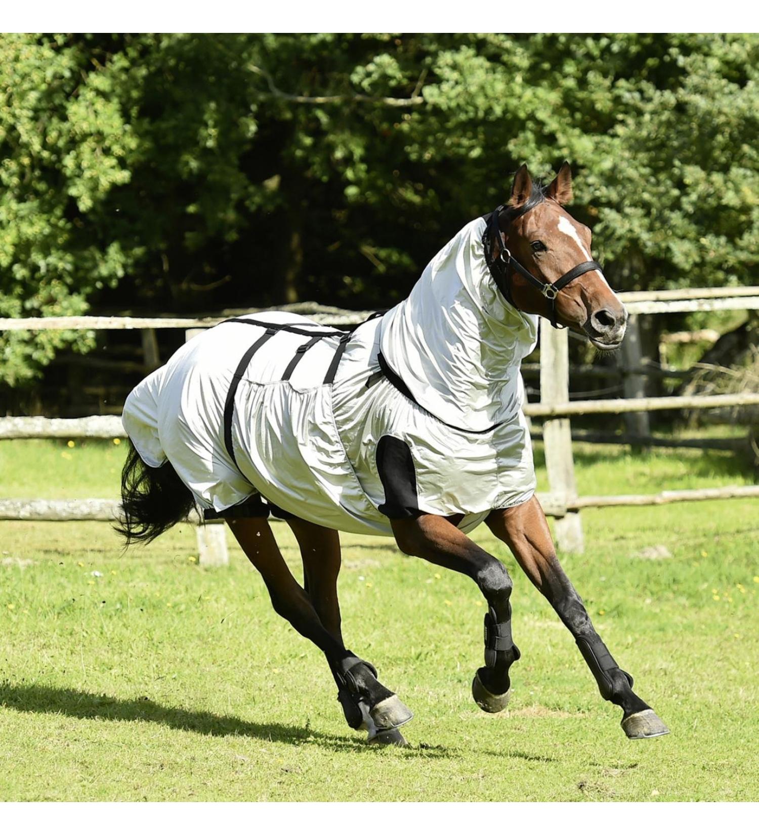 Busse eczema blanket Strong silver back length 135 cm