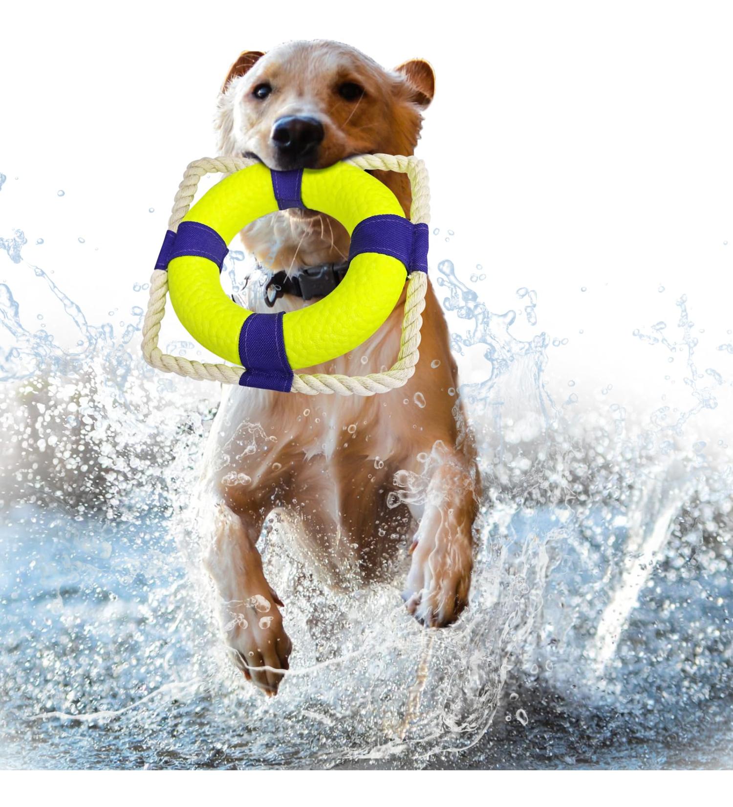 Indestructible Dog Frisbee & Water Toy | Interactive Ring for Small Medium & Large Dogs - Buy Online on GoSupps.com