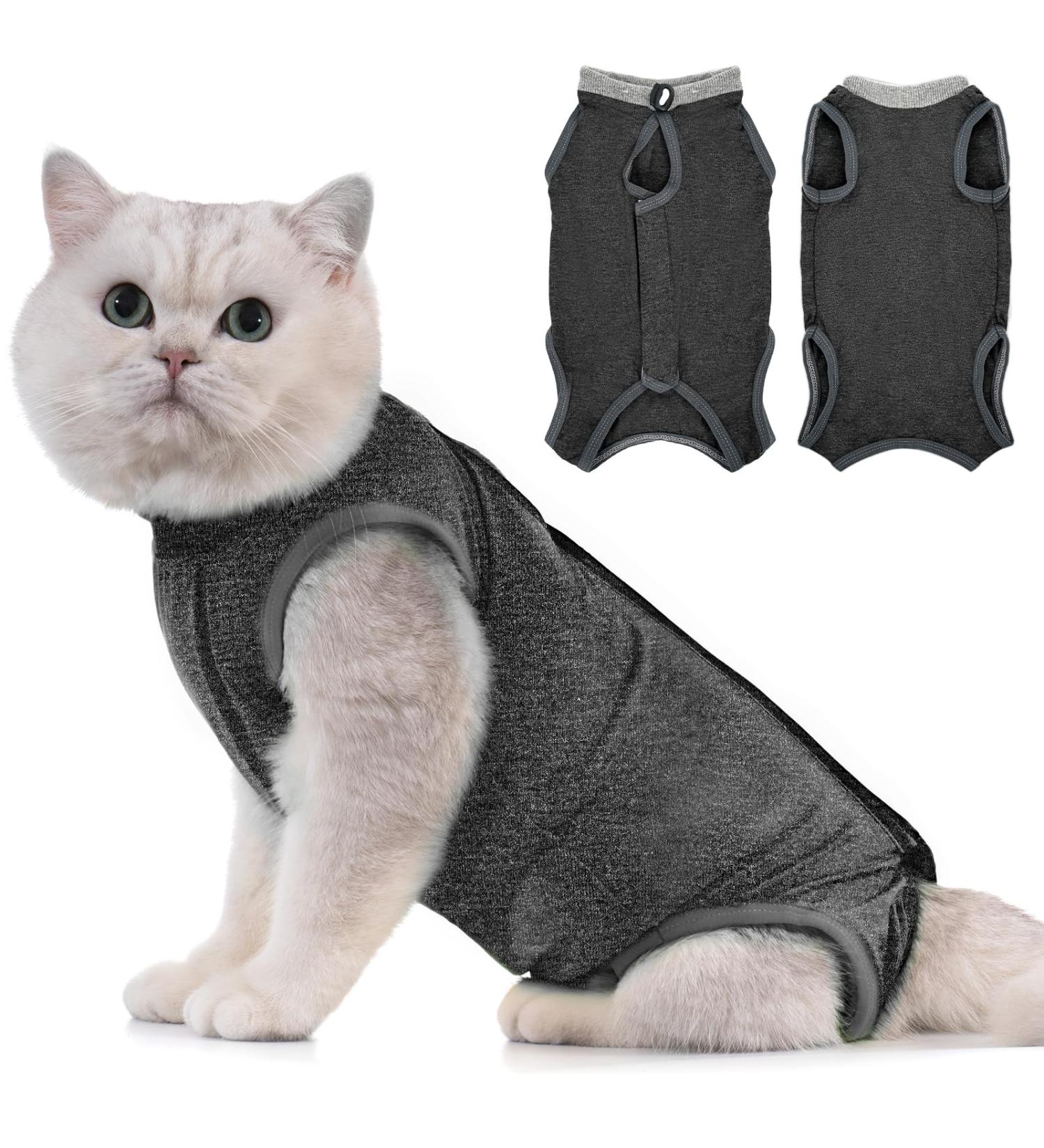 Avont Katzenbody for Cats | Recovery Suit for Abdominal Wounds Castration & Skin Diseases | Leak Protection | Size M - Dark Gray | International Shipping - Buy Online on GoSupps.com