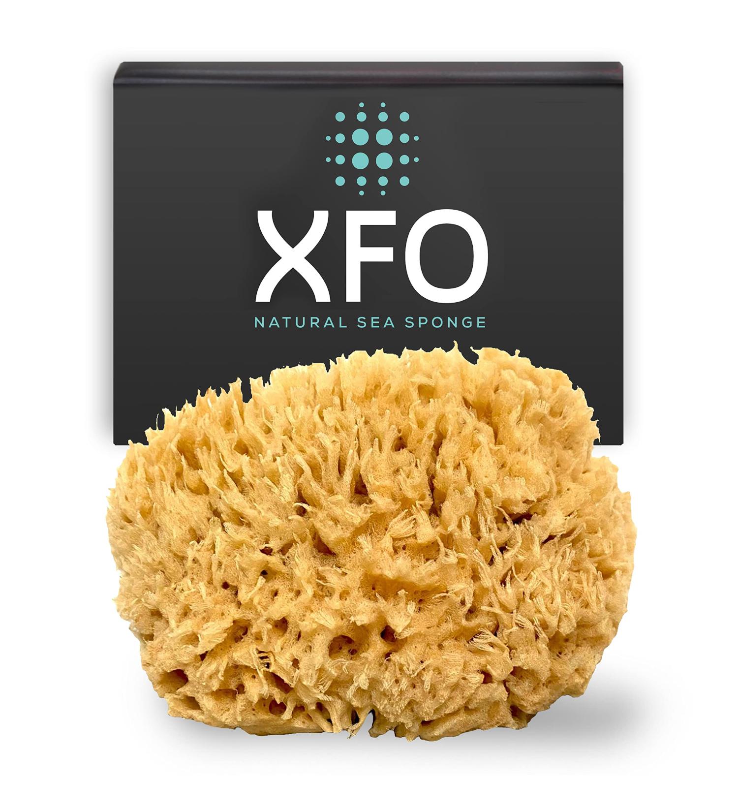 ideelz XFO Sea Sponge (Medium 5) - All Natural Sea Wool Sponge for Bathing and Exfoliating - USA Grown - Buy Online on GoSupps.com