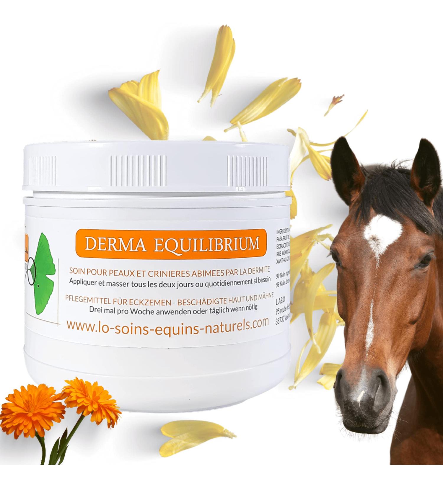 Derma Equilibrium - Natural Treatment for Dermatitis in Horses - With Plants Calendula Lavender Cade - Anti-itching (Derma Equilibrium 500mL) - Buy Online on GoSupps.com