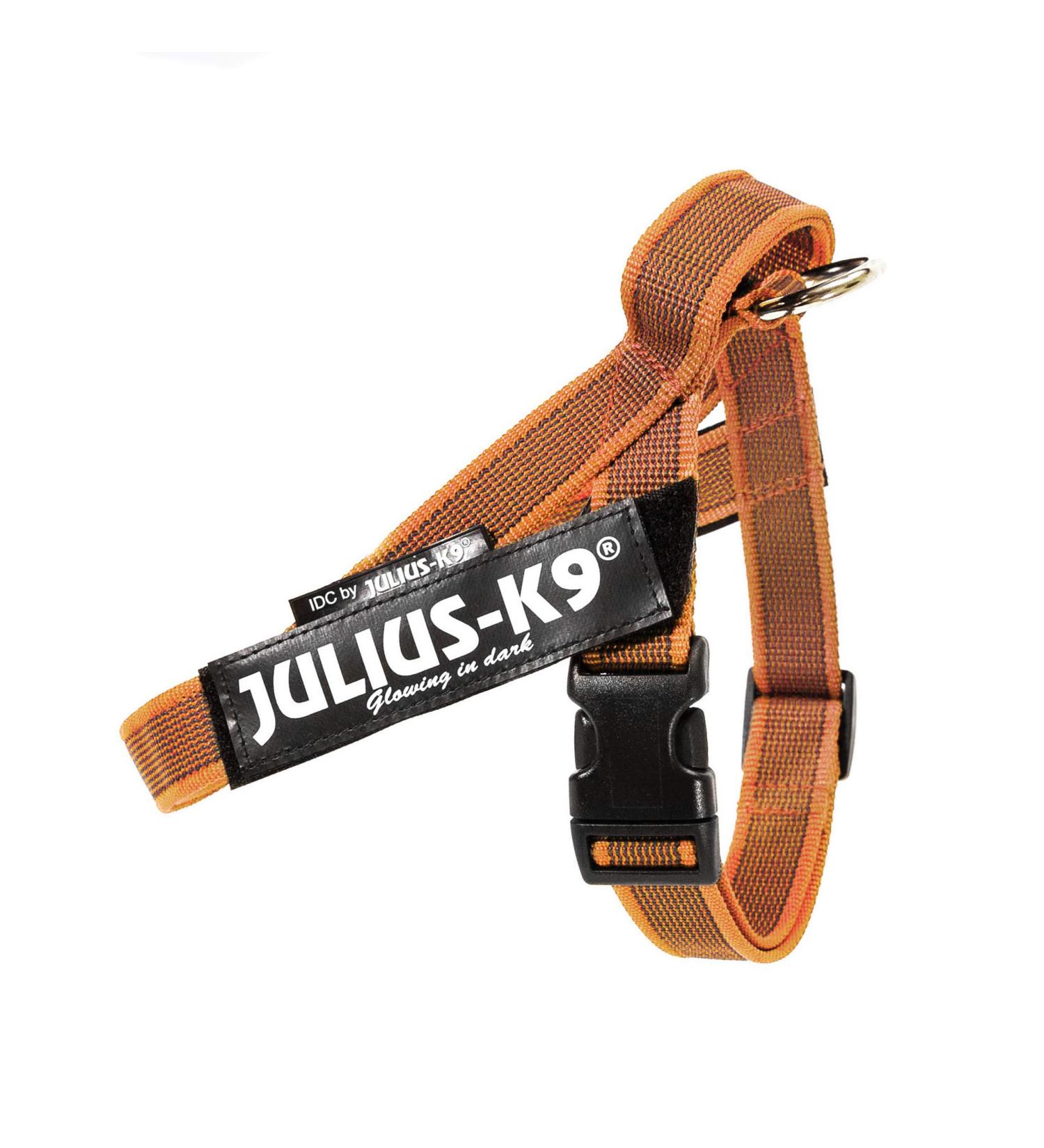 Julius-K9 Belt Harness M/0 - Stylish Orange-Grey Color for Ultimate Pet Comfort | International Shipping Available - Buy Online on GoSupps.com