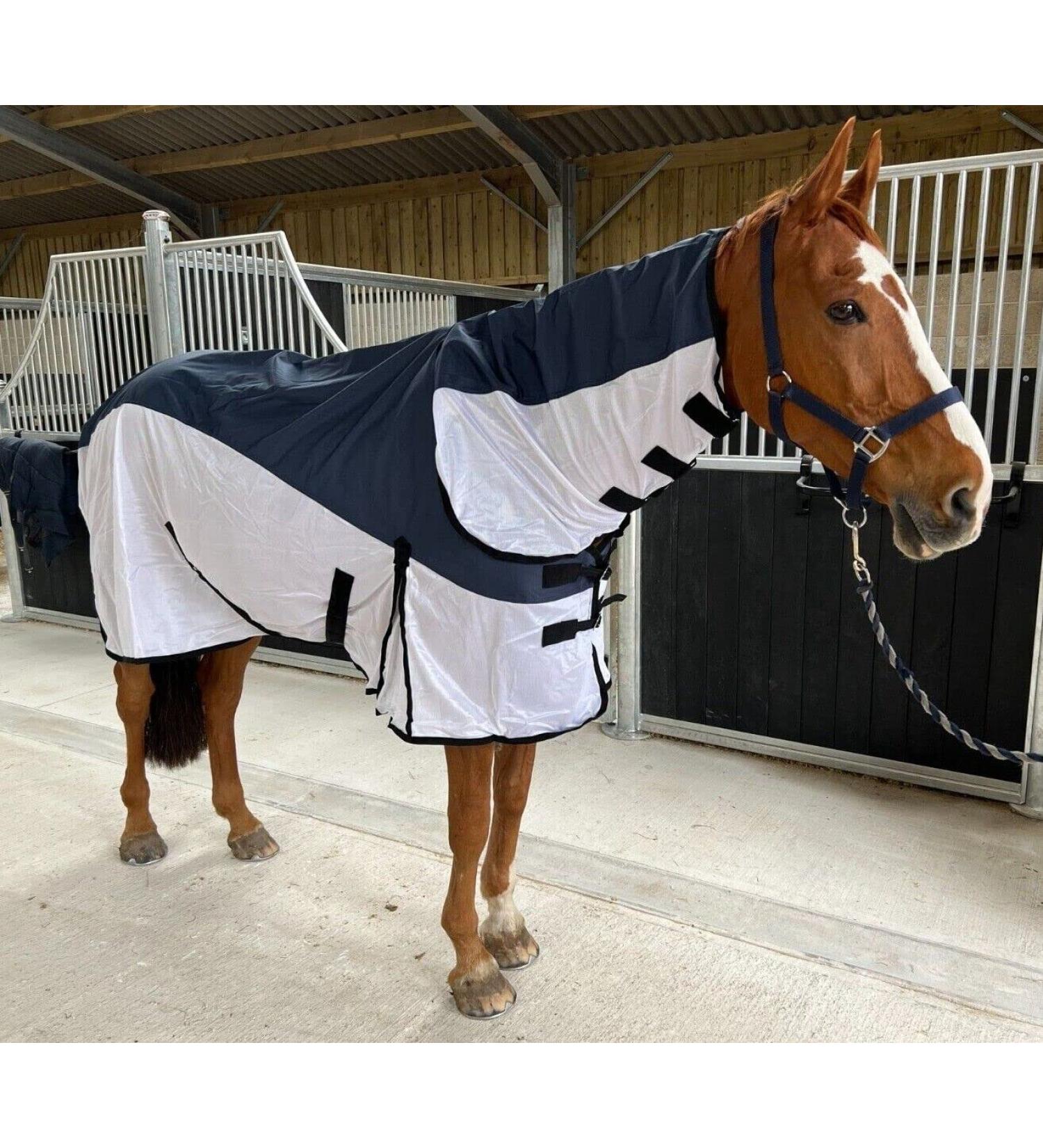 Waterproof Fly Rug 600d Hybrid Turnout Rug Lightweight Combo Mesh 4'9"-7'0" (6'6")