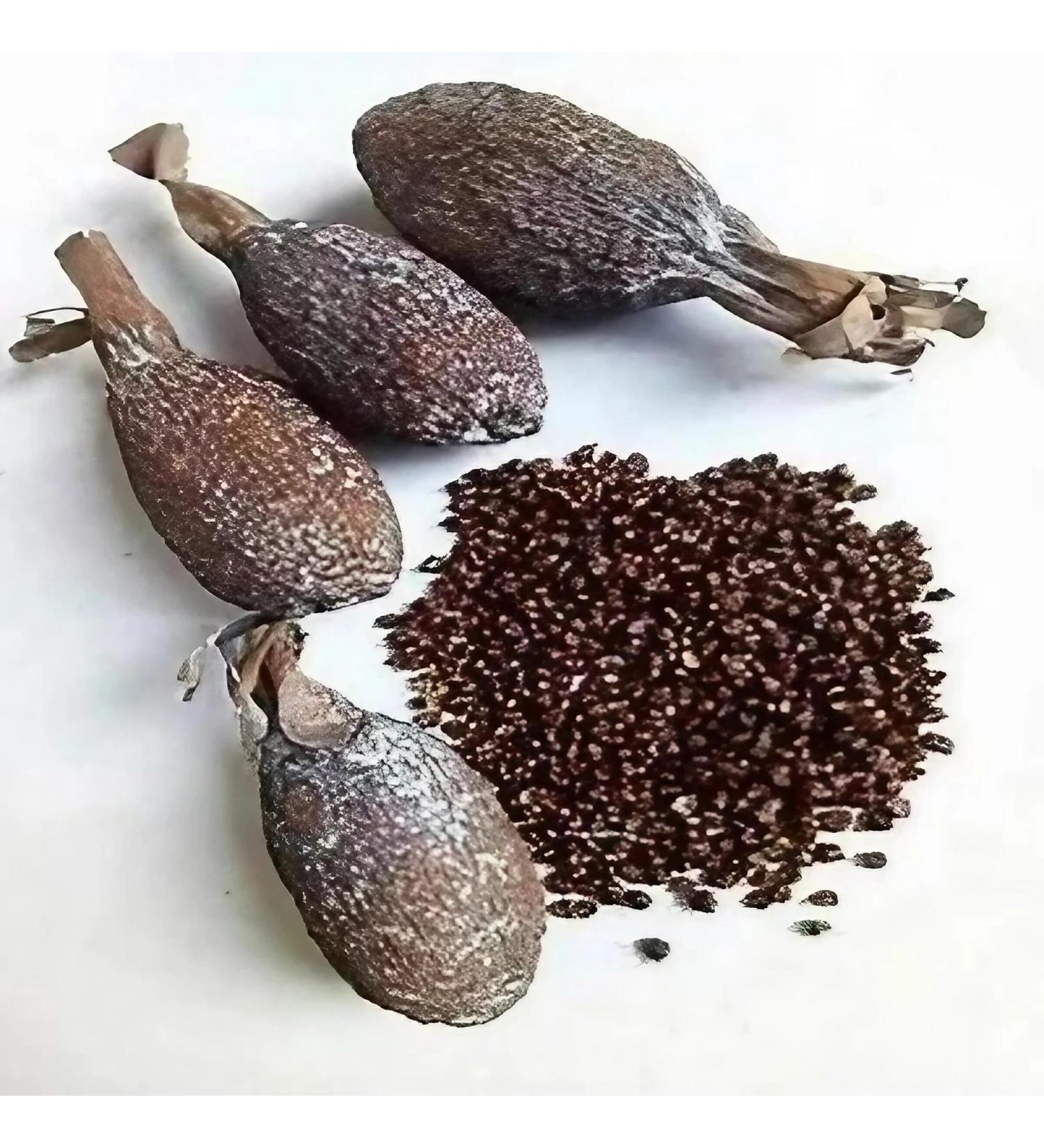 Whole maniguette Guinea pepper pod (paradise seeds) alligator pepper or alligator pepper - Buy Online on GoSupps.com