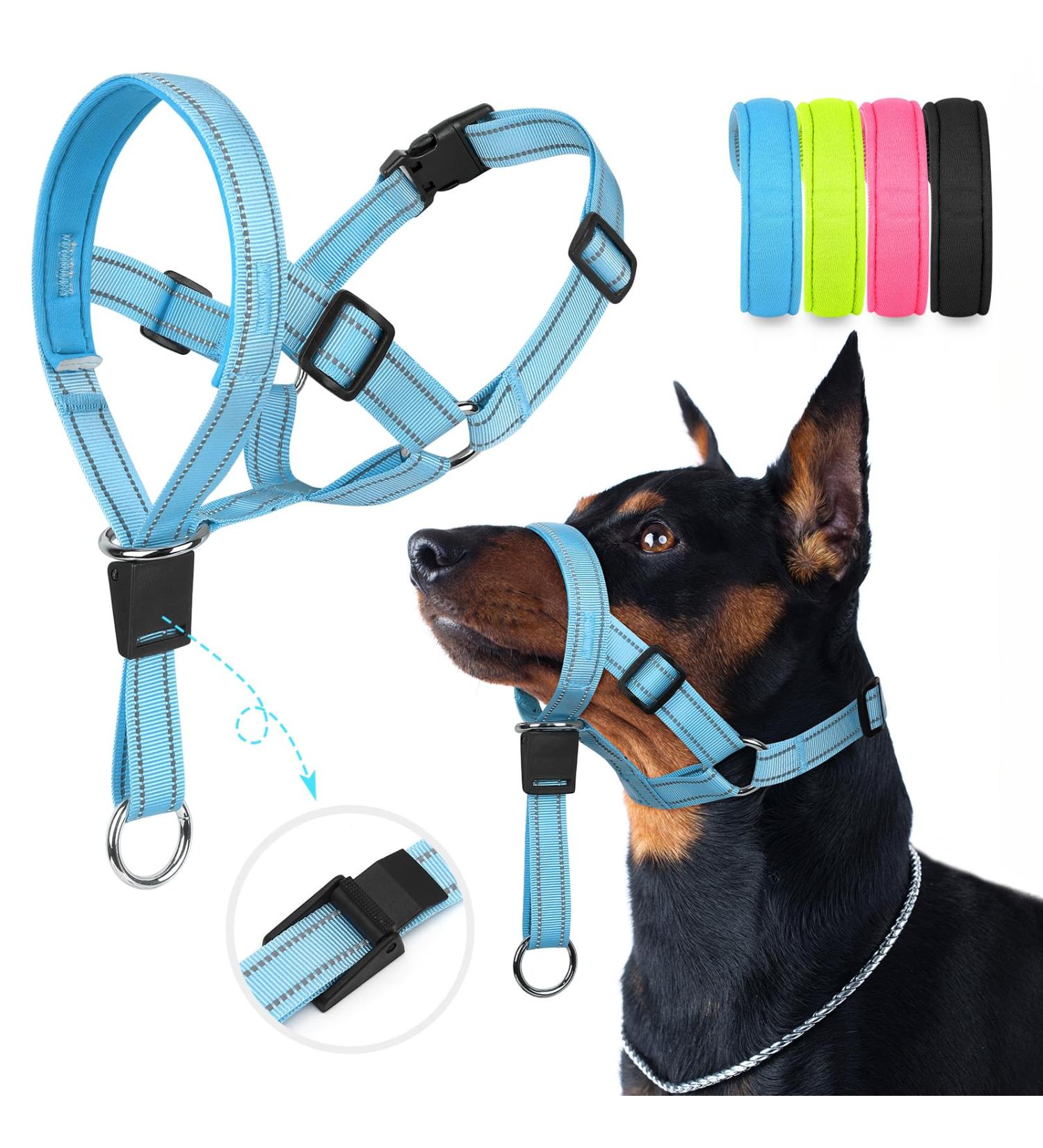 Weesiber Soft Dog Collar Adjustable Padded Dog Head Harness with Reflective Strips for Safe Training & Walking (Large Blue) - Buy Online on GoSupps.com