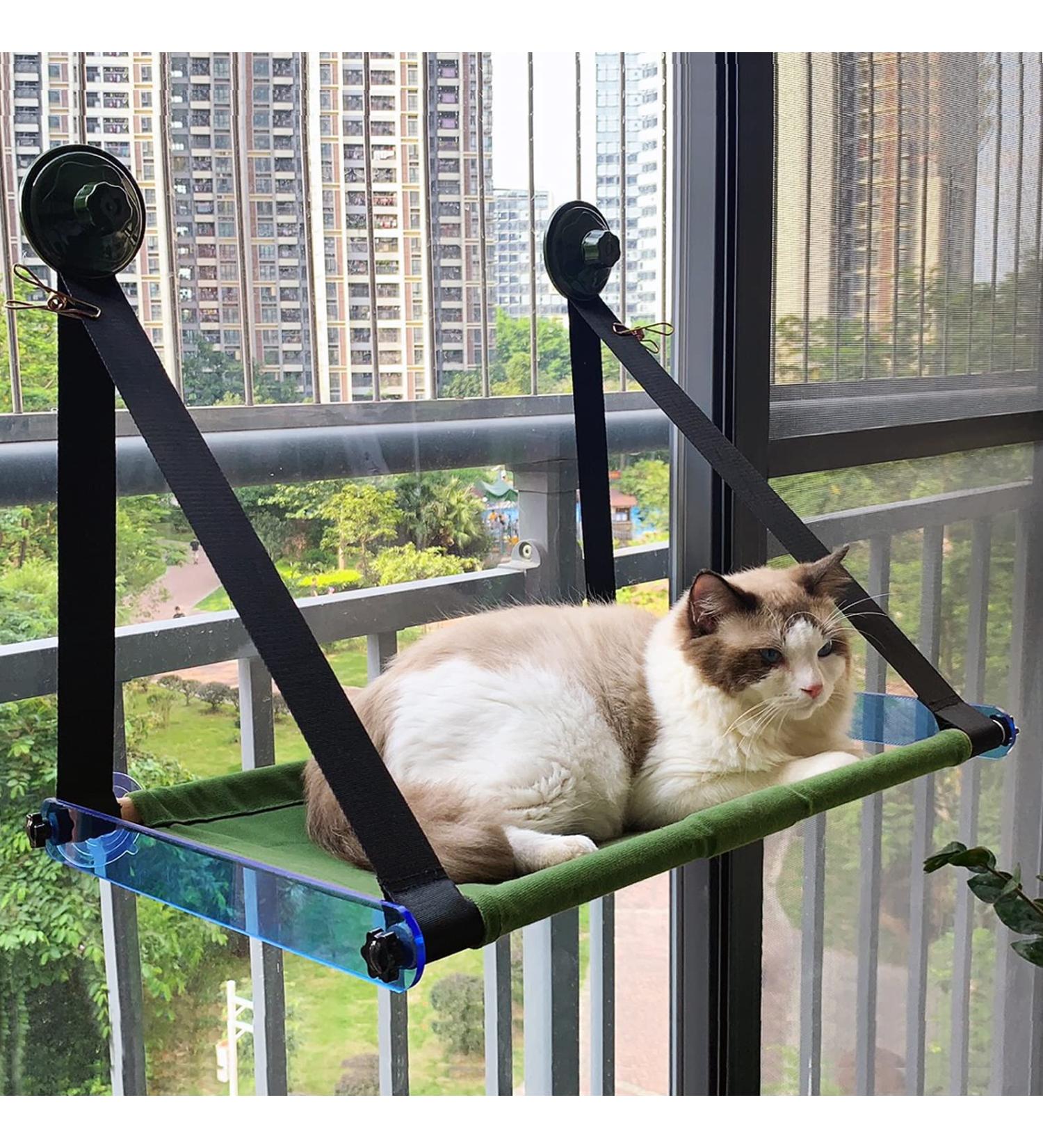 Foldable Cat Hammock for Large Cats 60 lbs+ | Indoor Window Perch with Strong Suction Cups - Buy Online on GoSupps.com