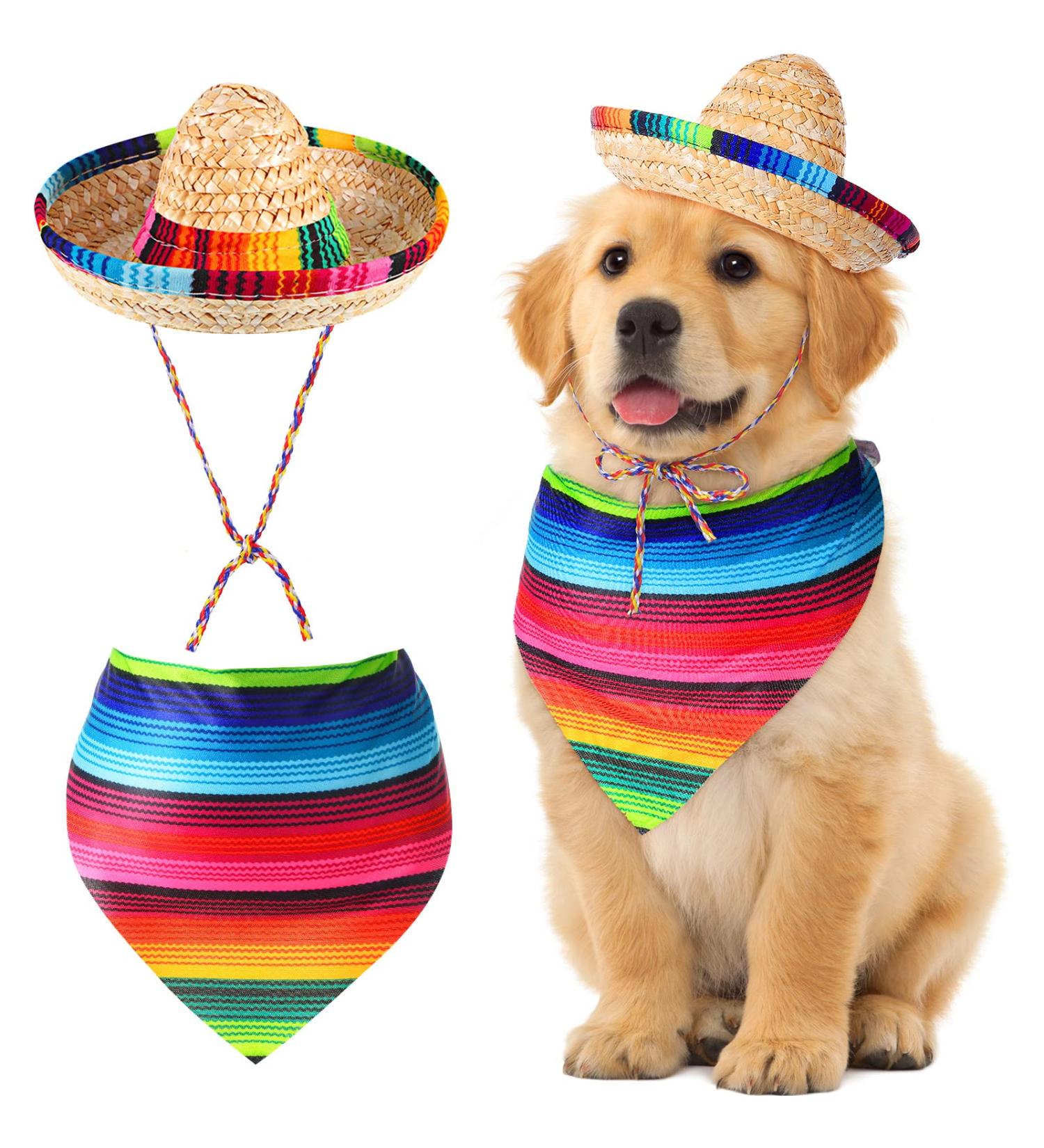 Dog Sombrero Hat & Bandana Set for Cinco De Mayo Fiesta - Multicolor Straw Mexican Hat and Pet Triangle Bib Costume - Buy Online on GoSupps.com