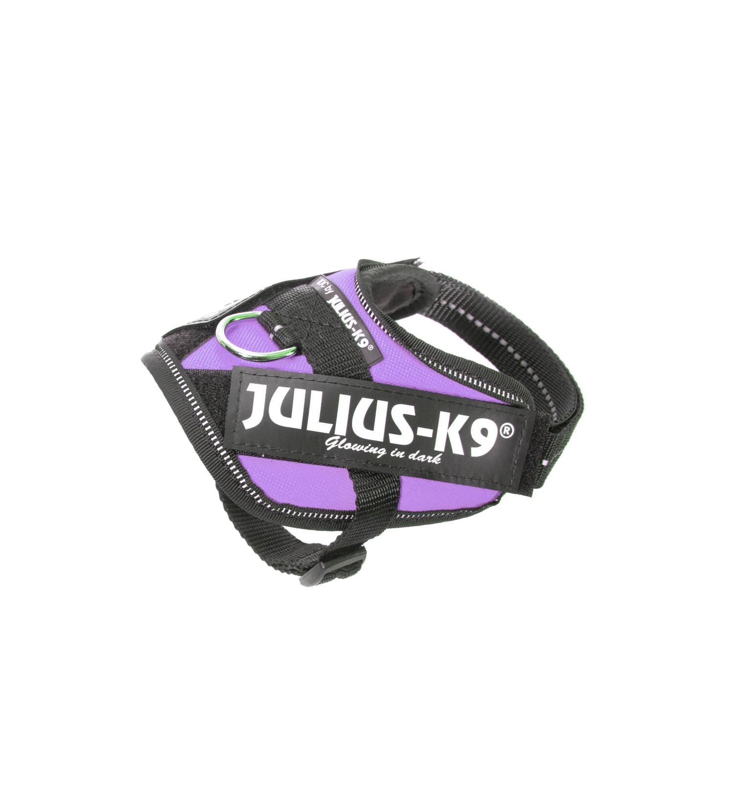 Buy Julius-K9 Baby Boys IDC Powerharness Dog Harness Purple XL | International Shipping Available - Buy Online on GoSupps.com