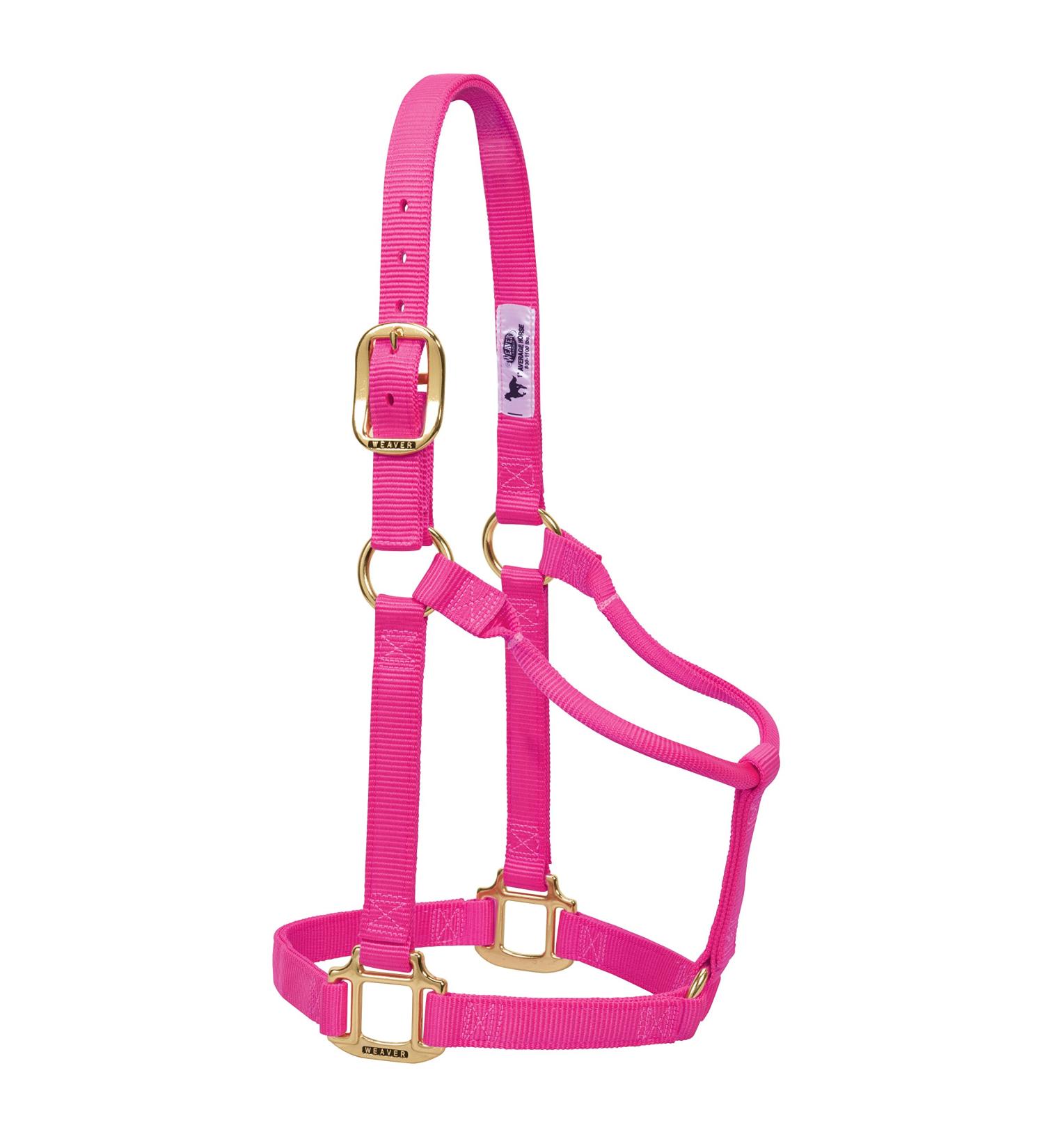 WEAVER Leather Non-Adjustable Halter in Diva Pink for Small Horses | Premium Equestrian Gear - Buy Online on GoSupps.com