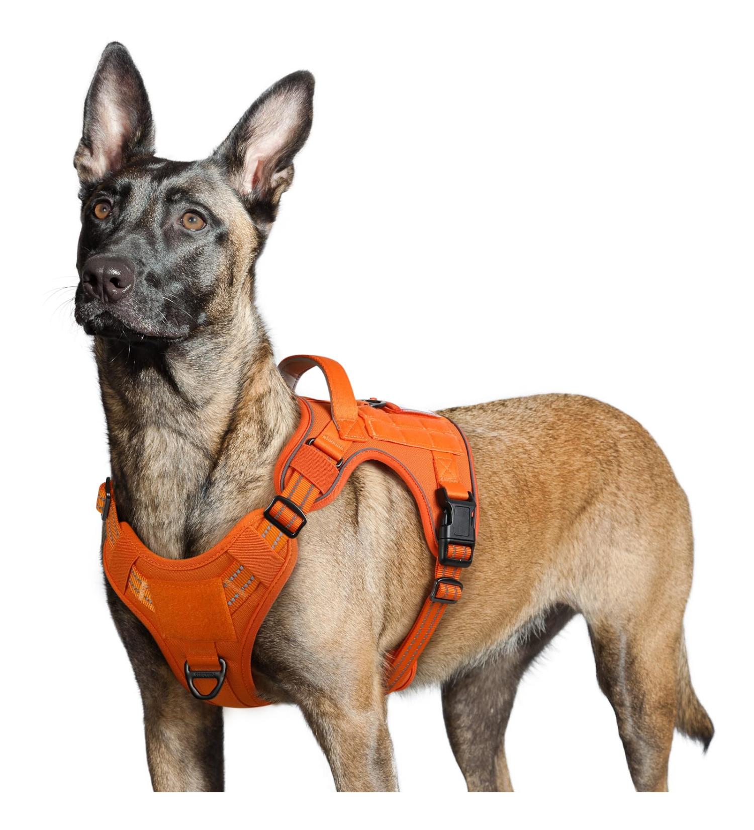Rabbitgoo Large Dog Harness - Durable Adjustable Tactical Harness with Handles for Hiking Anti-Train Design Orange (1 Pack) - Buy Online on GoSupps.com