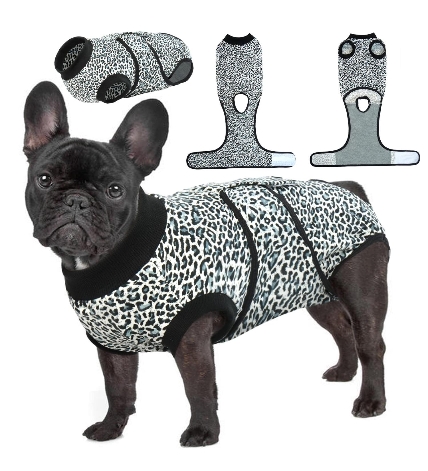 Kuoser Dog Recovery Suit | Post-Op Body for Dogs & Cats | Breathable Anti-Licking Design | XXL Blue - Buy Online on GoSupps.com
