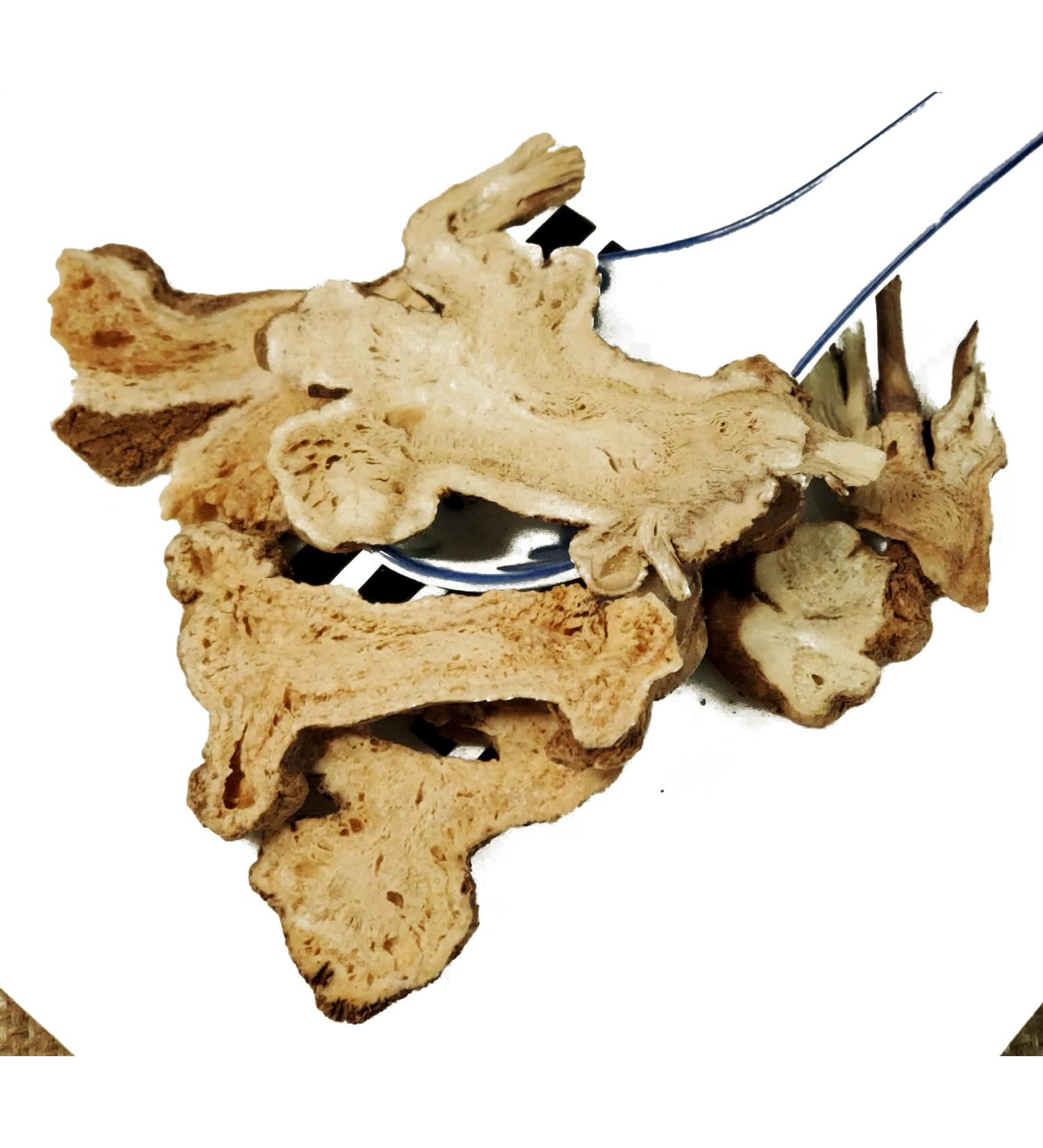 TCM Herbs USA Bai zhu / Atractylodes Macrocephala Rhizoma / Atractylodes Rhizome / Ovate Atractylodes (4 oz)