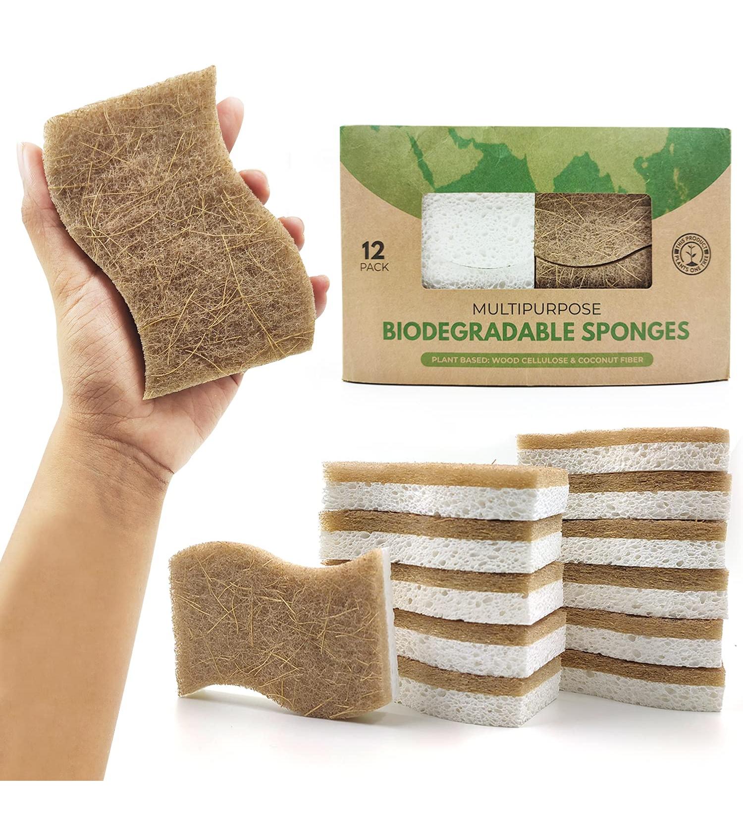 AIRNEX Biodegradable Natural Kitchen Sponge - Pack of 12 Eco Friendly Compostable Sponges for Dishes - Buy Online on GoSupps.com